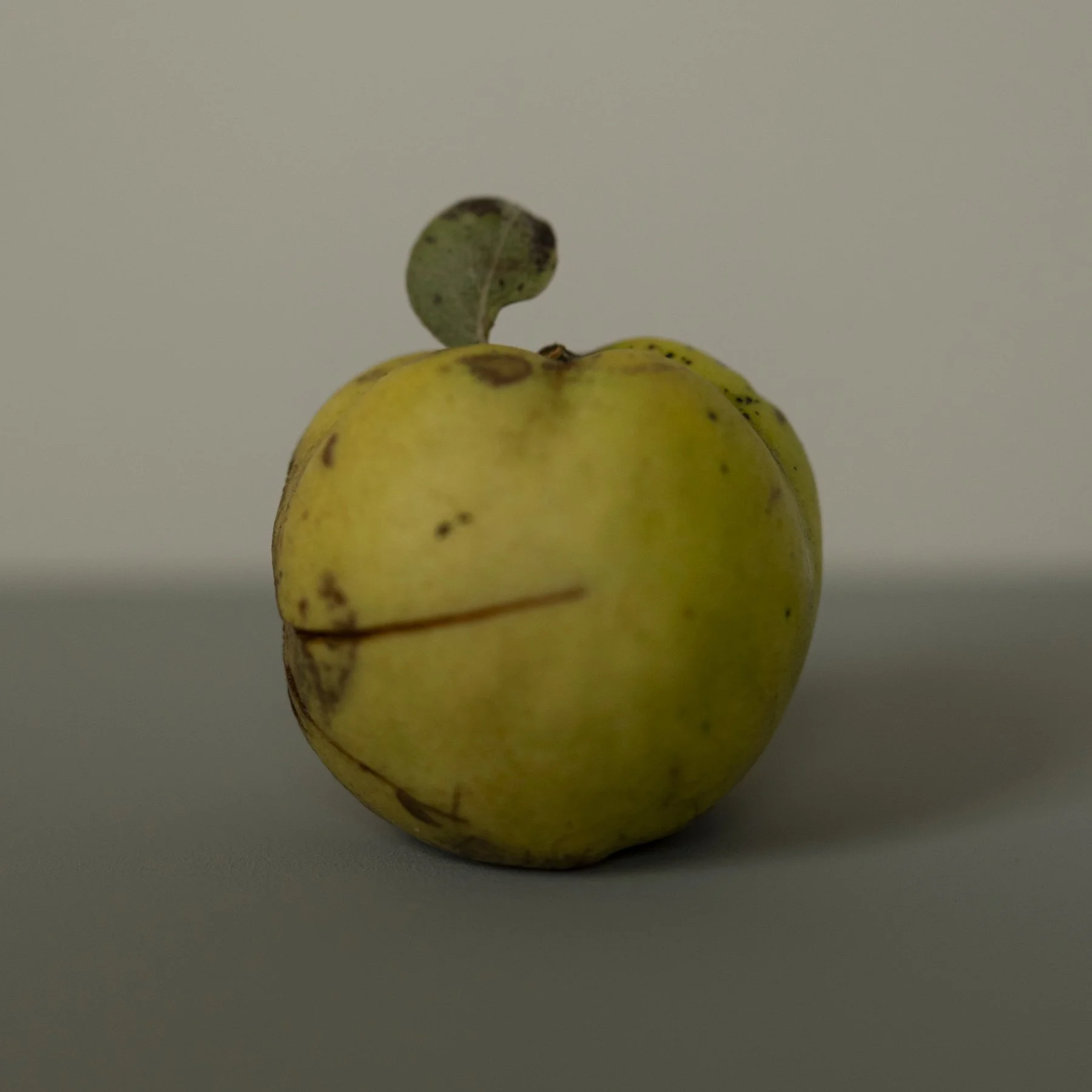 Still life of a yellow apple with leaf in soft daylight, photography by Studio Trois Pommes