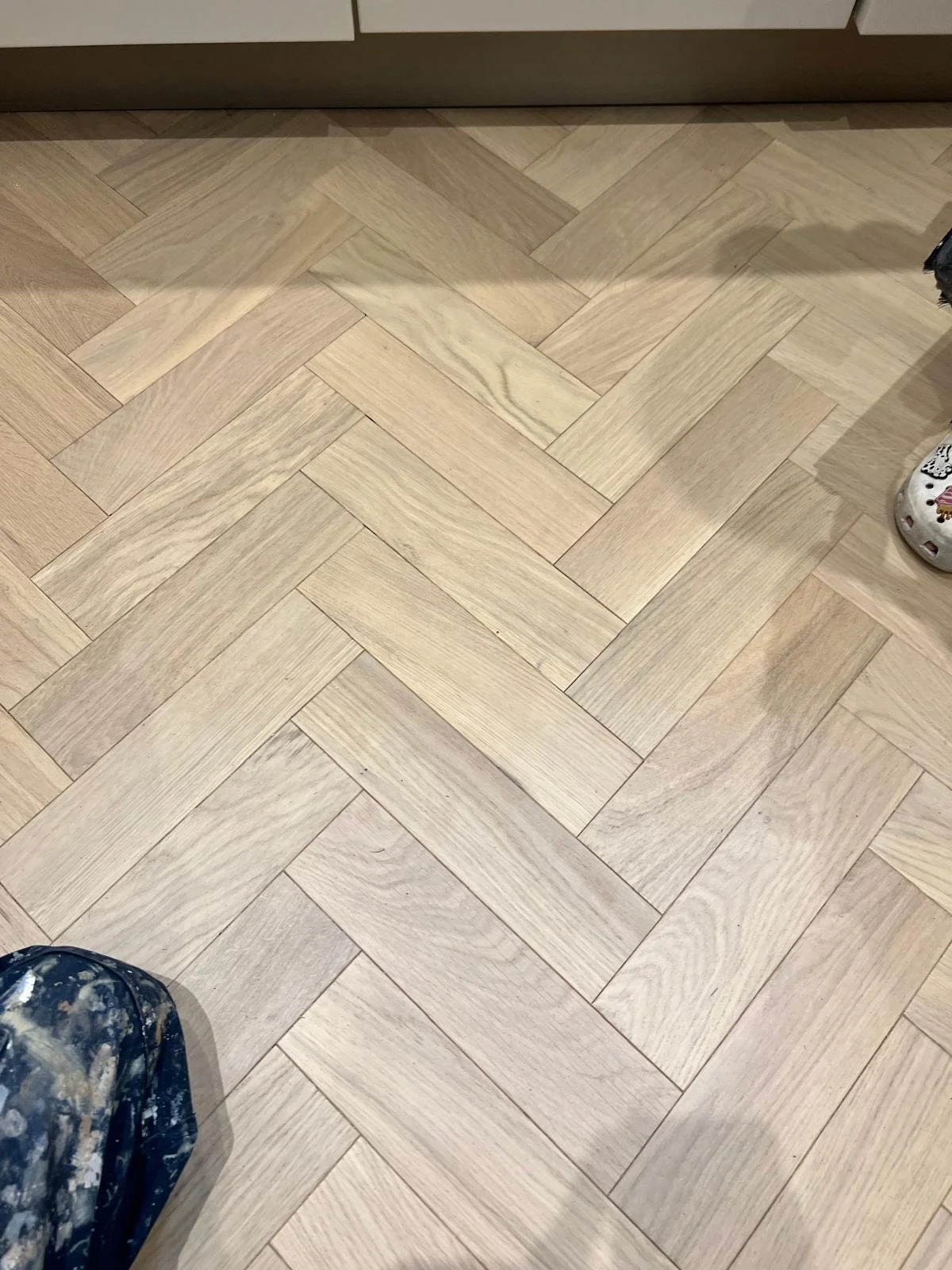 WhatsApp Image 2026-03-12 at 4.56.40 PM (2).jpeg