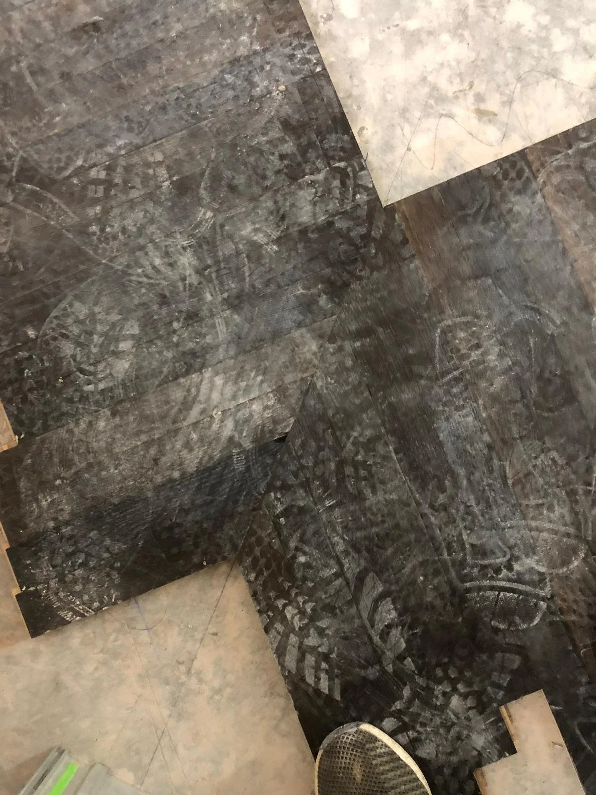 WhatsApp Image 2026-03-12 at 5.05.29 PM (1).jpeg