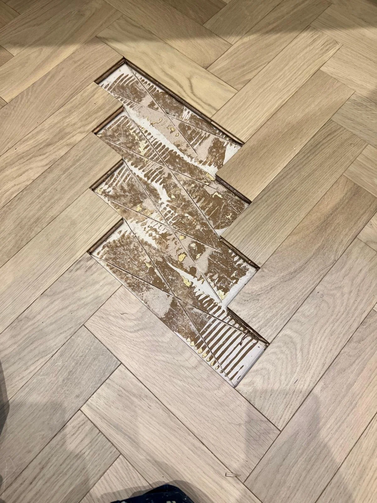 WhatsApp Image 2026-03-12 at 4.56.40 PM (3).jpeg