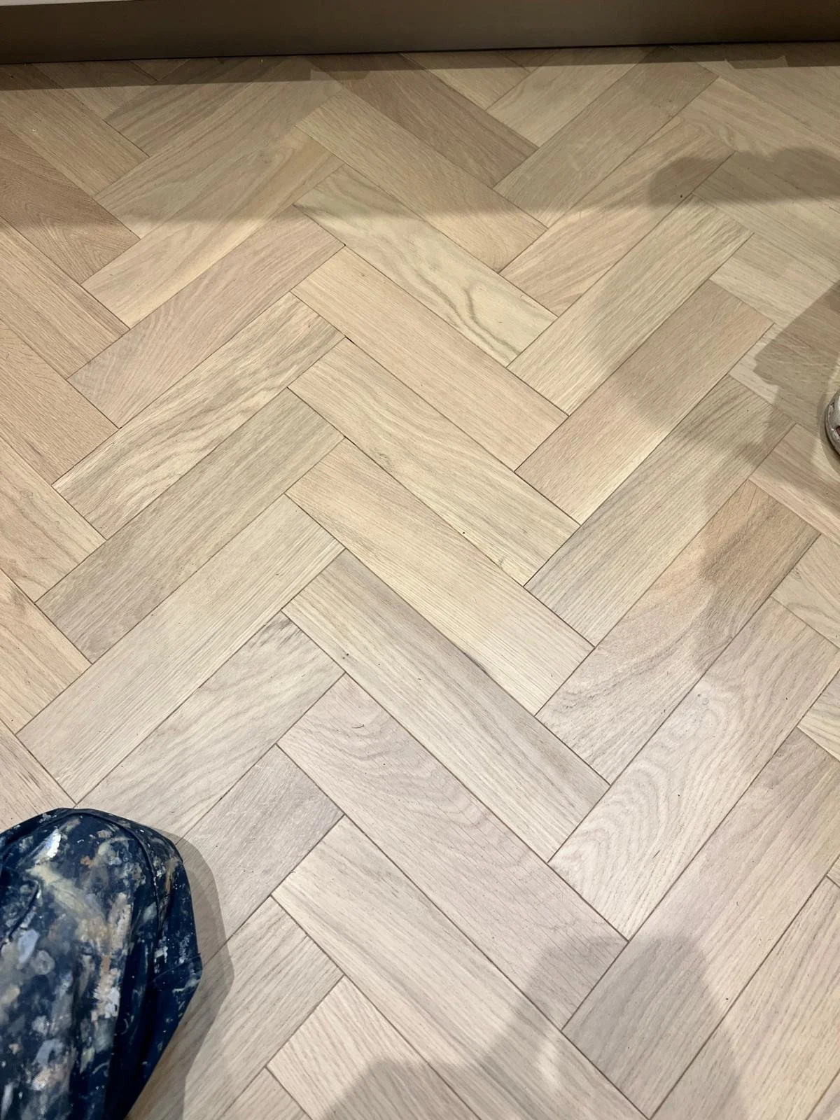 WhatsApp Image 2026-03-12 at 4.56.40 PM (1).jpeg