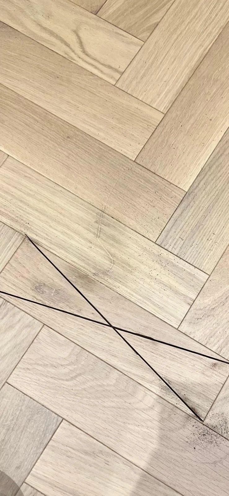 WhatsApp Image 2026-03-12 at 4.56.40 PM.jpeg