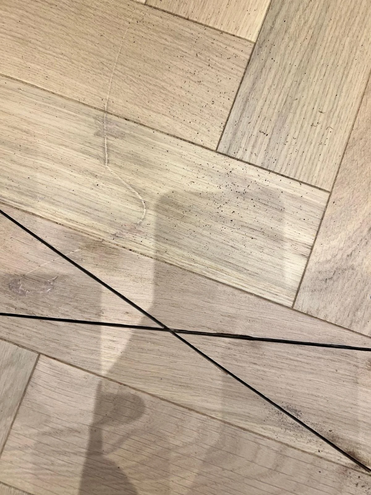 WhatsApp Image 2026-03-12 at 4.56.40 PM (5).jpeg