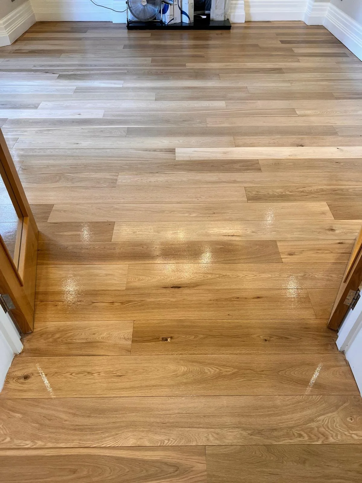 WhatsApp Image 2026-03-12 at 4.47.26 PM (10).jpeg