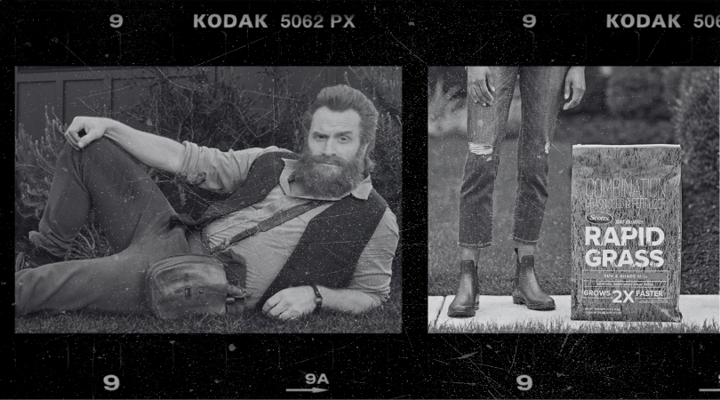 Scotts: Creative Brief 