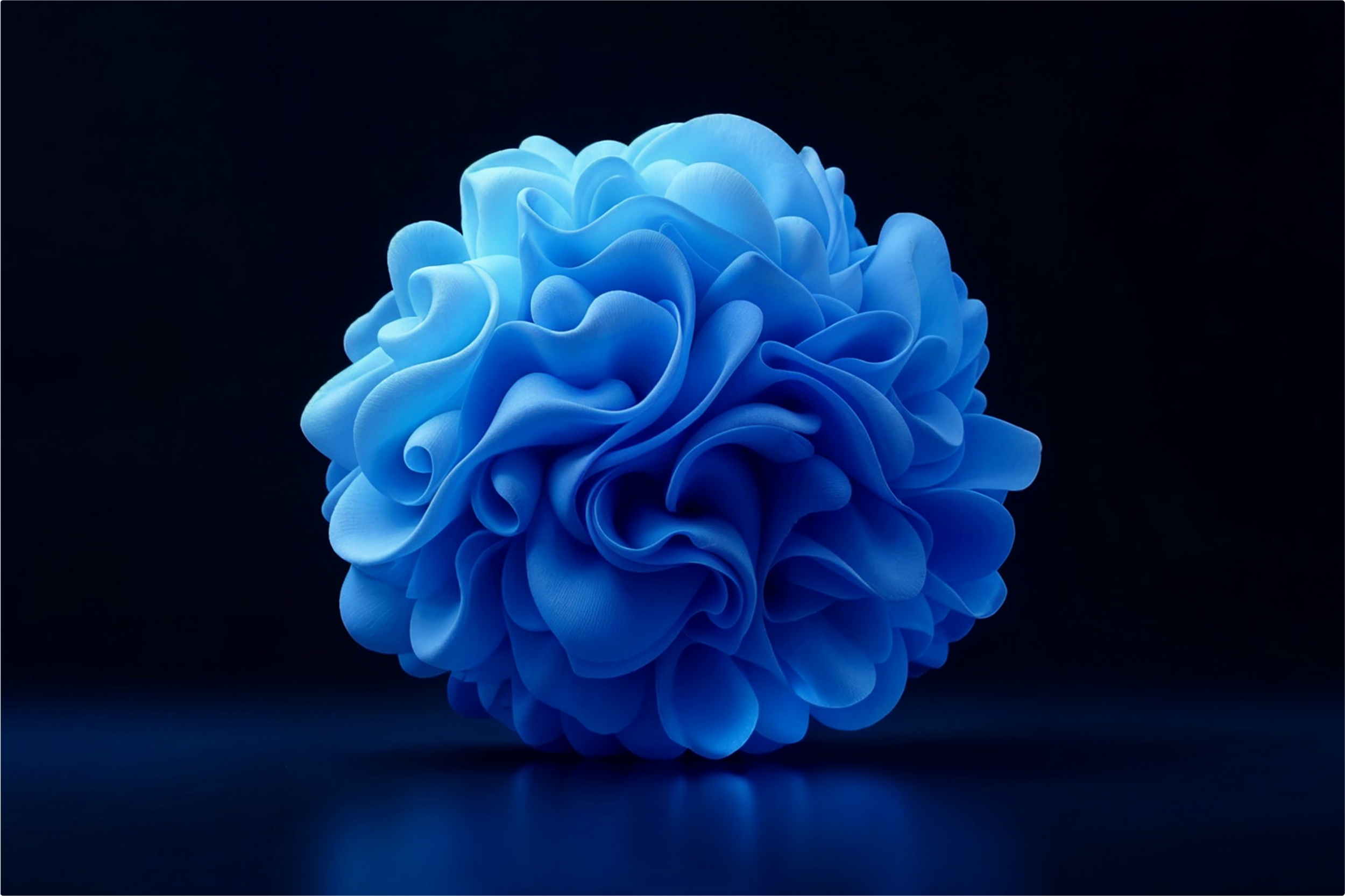 Close-up of a blue, cloud-like, ruffled flower against a black background.