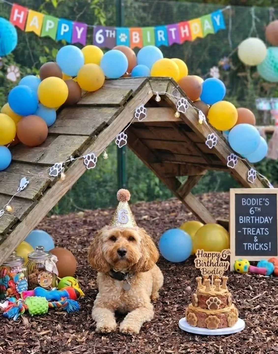 Happy birthday to our cute boy.