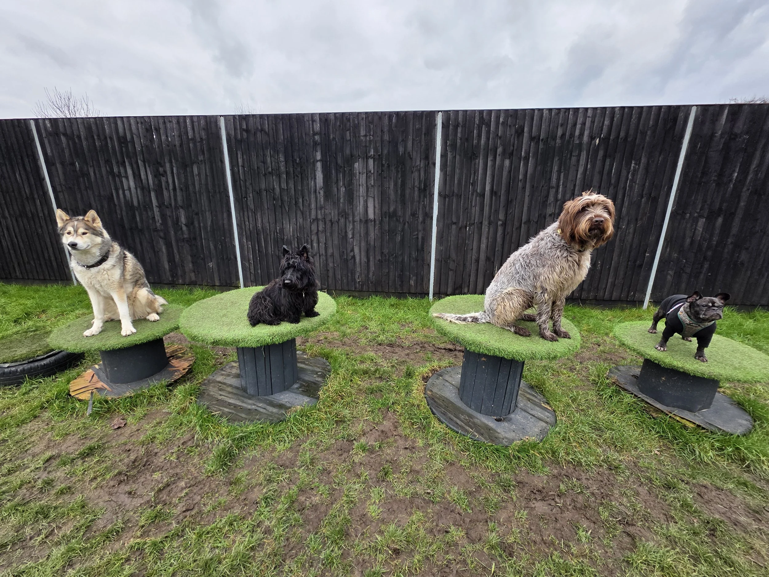 Agility and obstacles