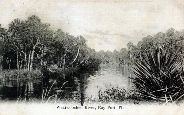 This is a 1908 postcard showing the Weeki Wachee River in Bayport. Image courtesy of FloridaMemory.com