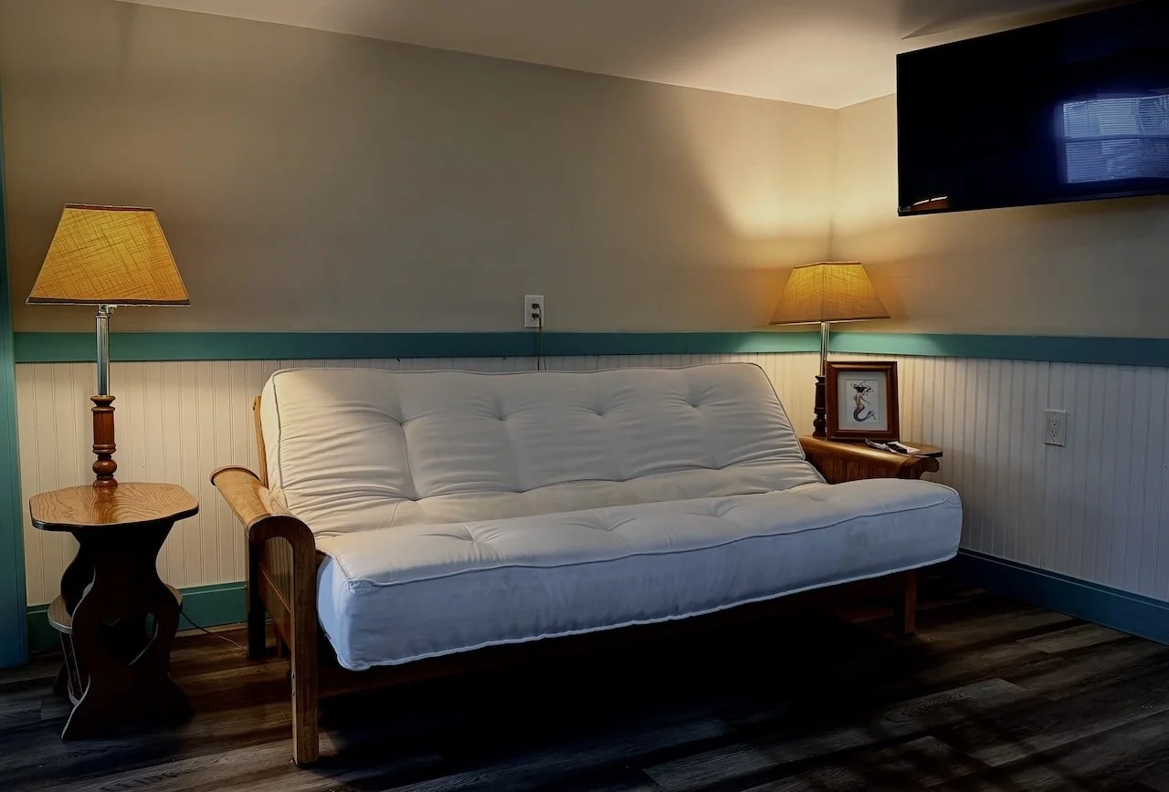 lodging_cabin 4 couch