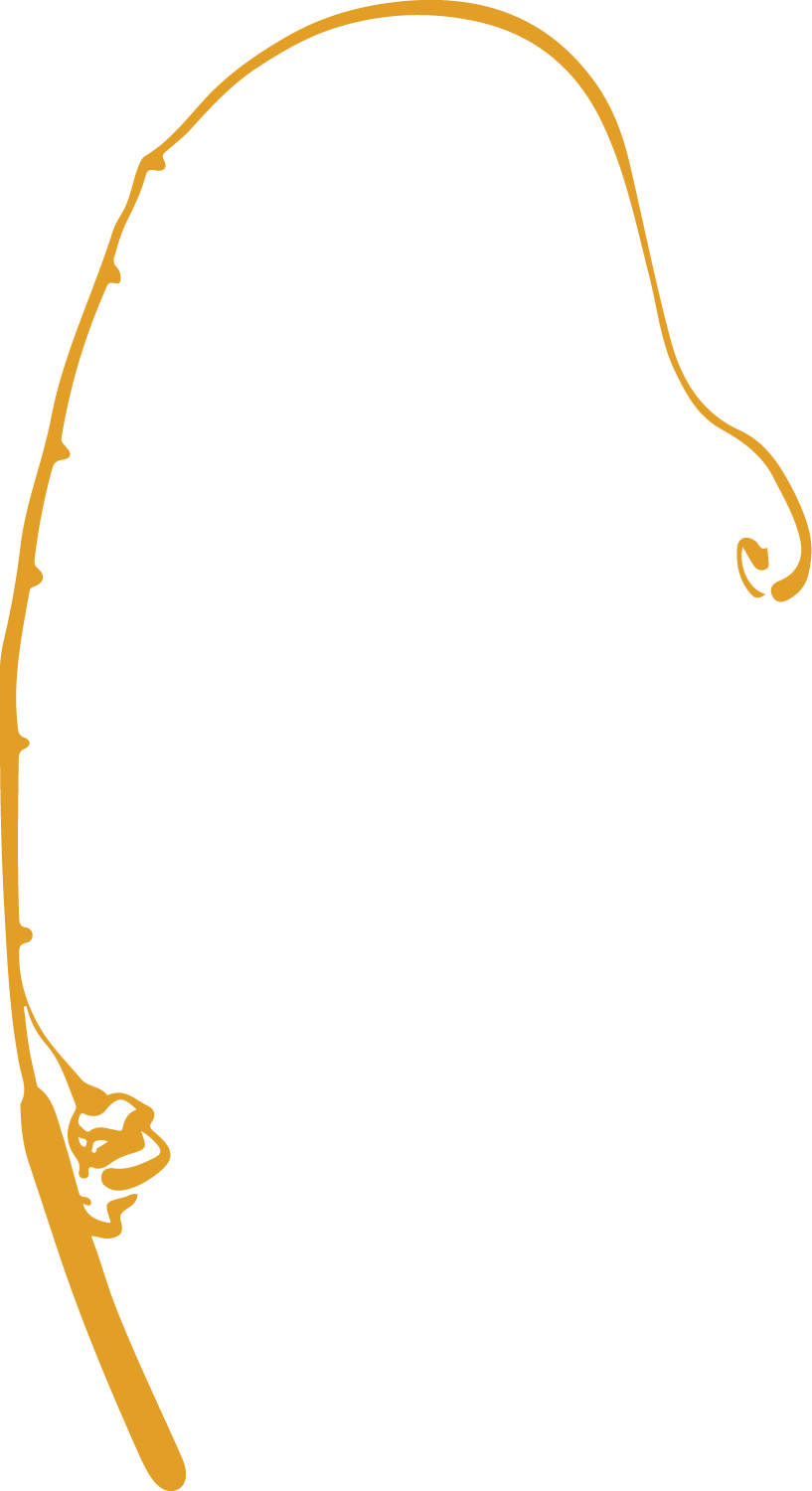 Line drawing of a toucan bird with a large beak, outlined in mustard yellow.