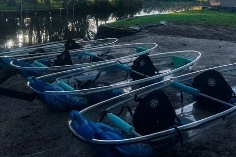 Four small blue rowing boats pulled up on a muddy shoreline near a body of water, with trees and grass in the background.