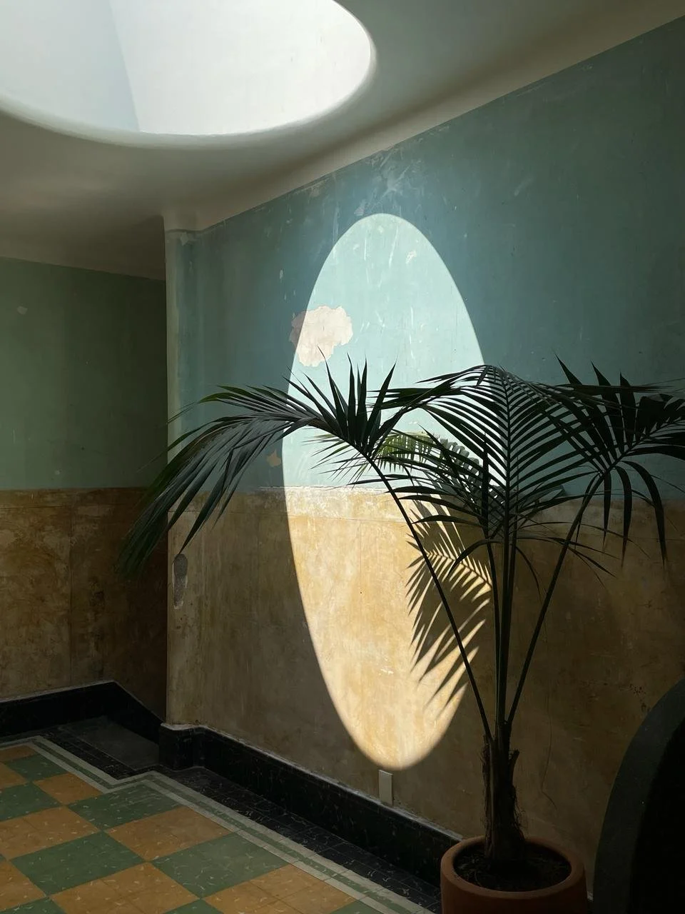 WhatsApp Image 2024-02-22 at 5.32.52 PM (3).jpeg