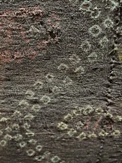 Close-up of a weathered, textured wooden surface with faded paint and circular patterns.