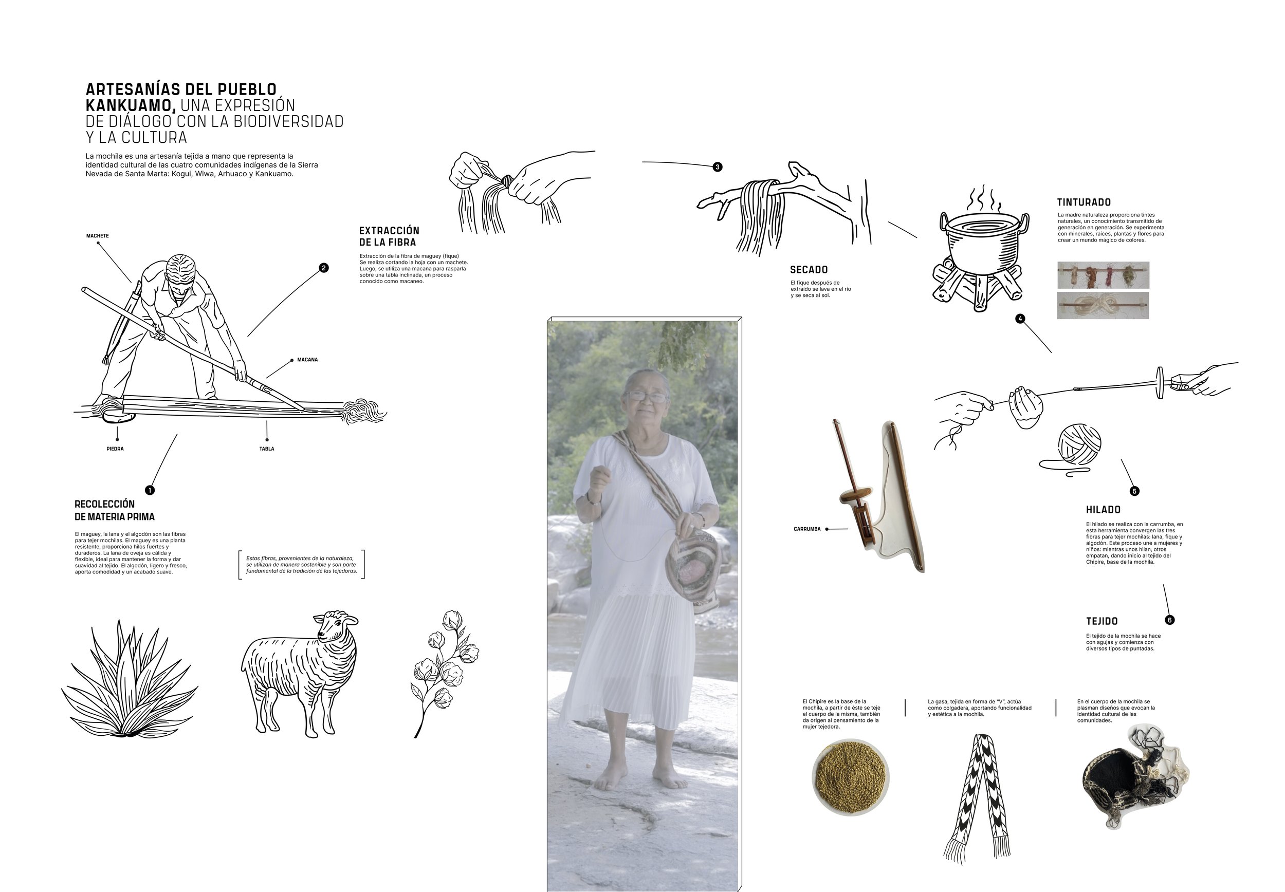 Infographic explaining the traditional craft of weaving and dyeing textiles in Kankuamo indigenous culture, with illustrations of tools, natural materials, and a woman wearing a woven bag.