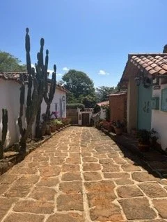 A cobblestone street lined with colorful houses and a tall cactus on the left side under a clear blue sky. Barichara, Colombia.