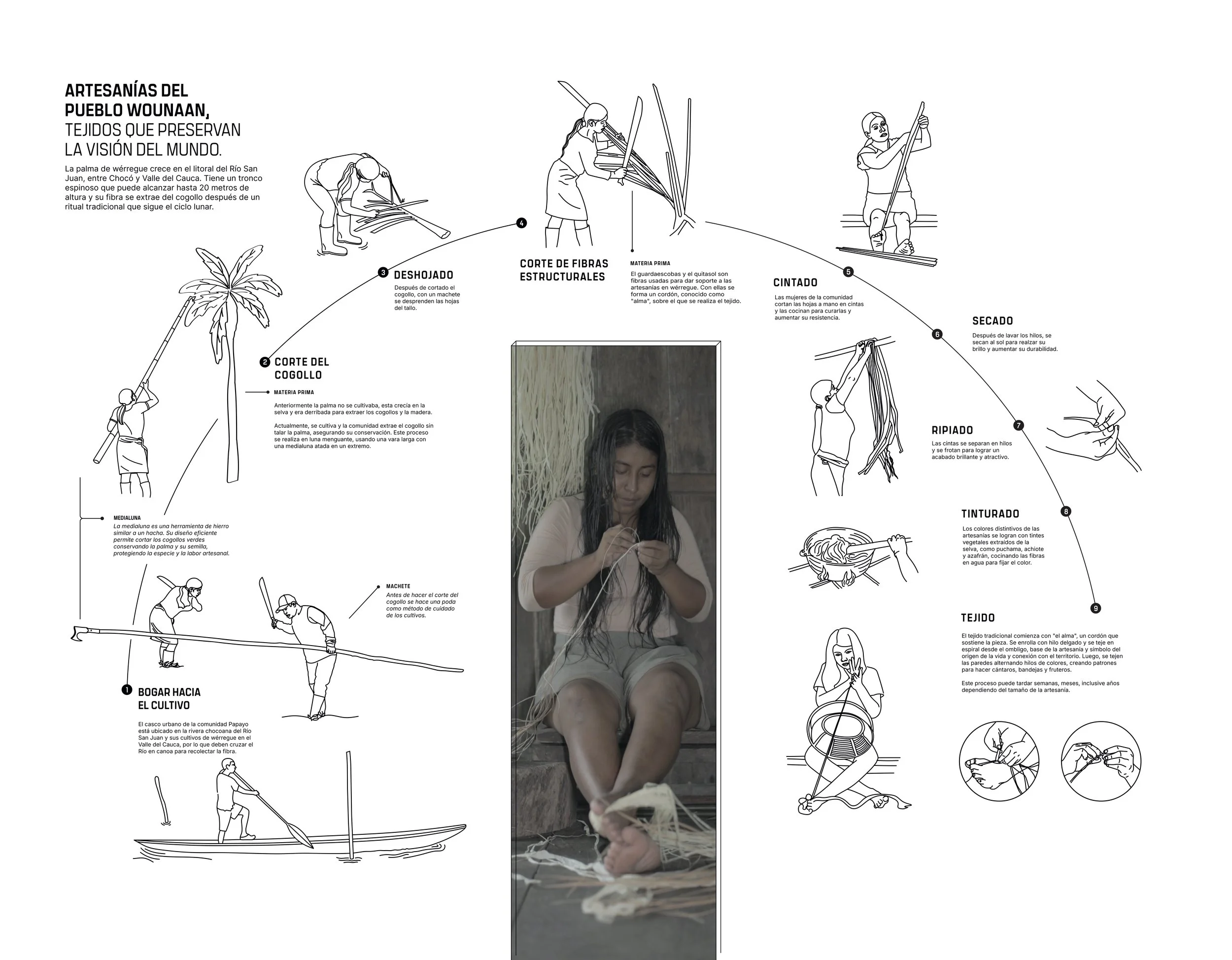 Infographic illustrating traditional crafting techniques from the Wounaan community, including fiber harvesting, fiber straining, and weaving processes, with detailed steps and visual representations, alongside a central photo of a woman weaving.