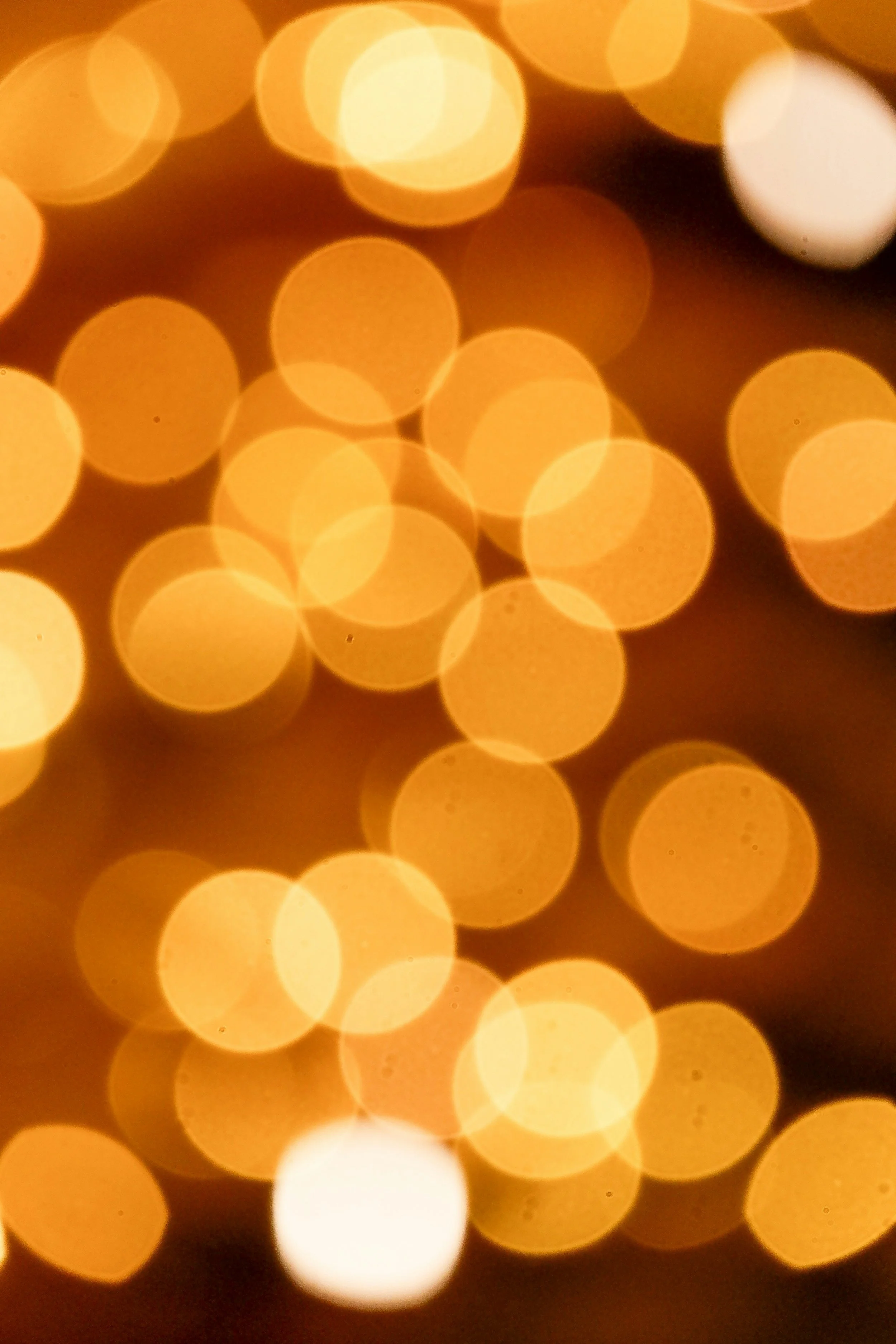 A Million Dreams: Elko F.I.S.H. Adult Prom