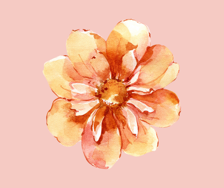 A vibrant orange yellow Dahlia flower symbolizing 'The Dahlia' Personalized and Polished Puerto Rico Wedding package in Puerto Rico.