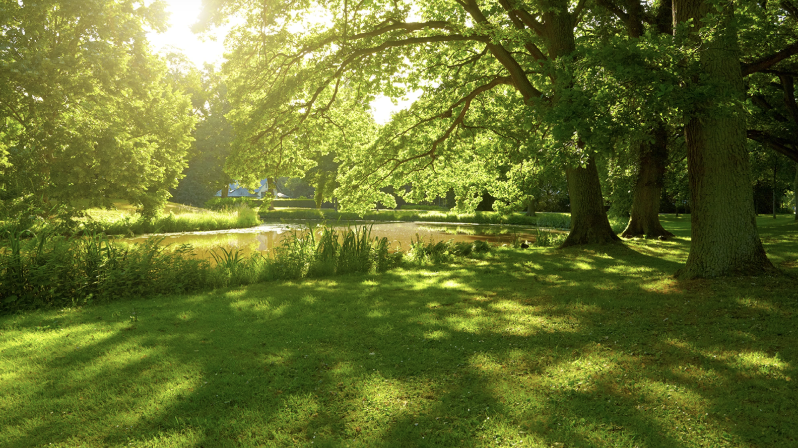 Screenshot 2025-10-28 at 9.56.58 PM.png