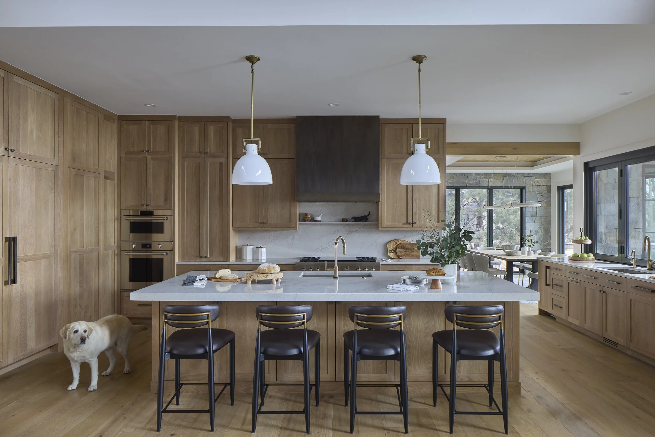 SBP_2231 copyDog.jpeg