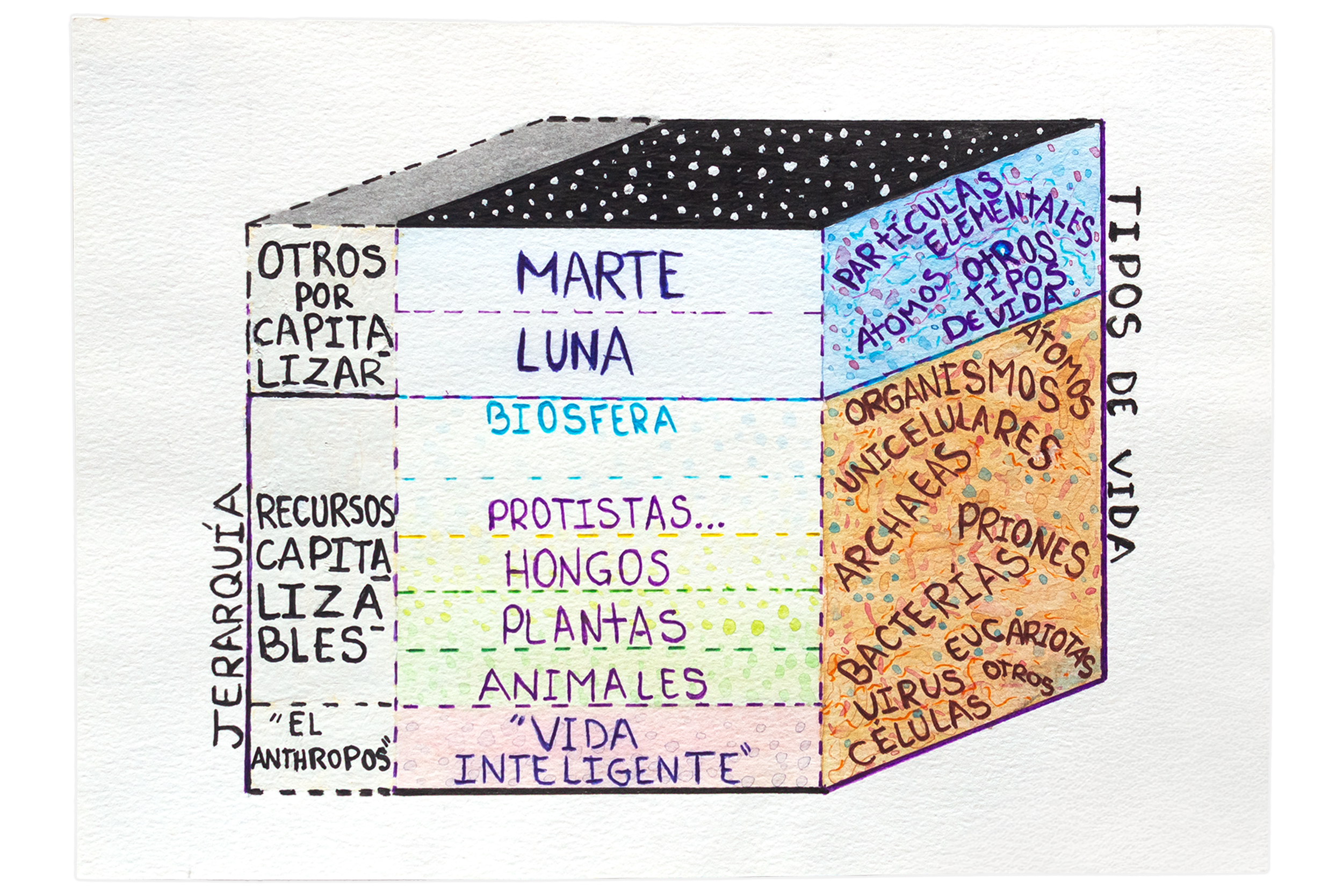 Diagrama II, 2020. Acuarelas y
estilógrafos sobre papel, 20 cm. x 16 cm.