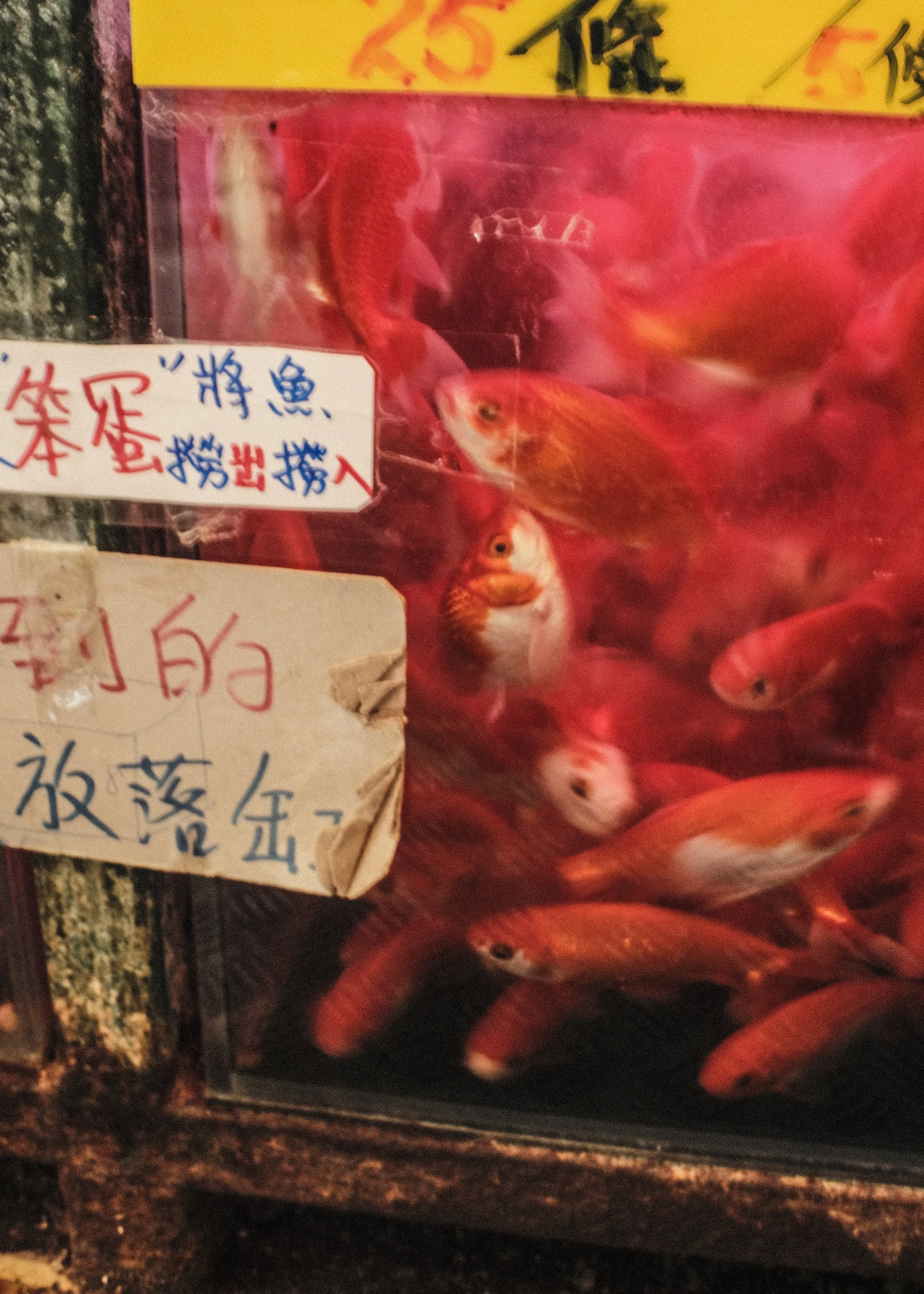 HK Fish Market.jpg