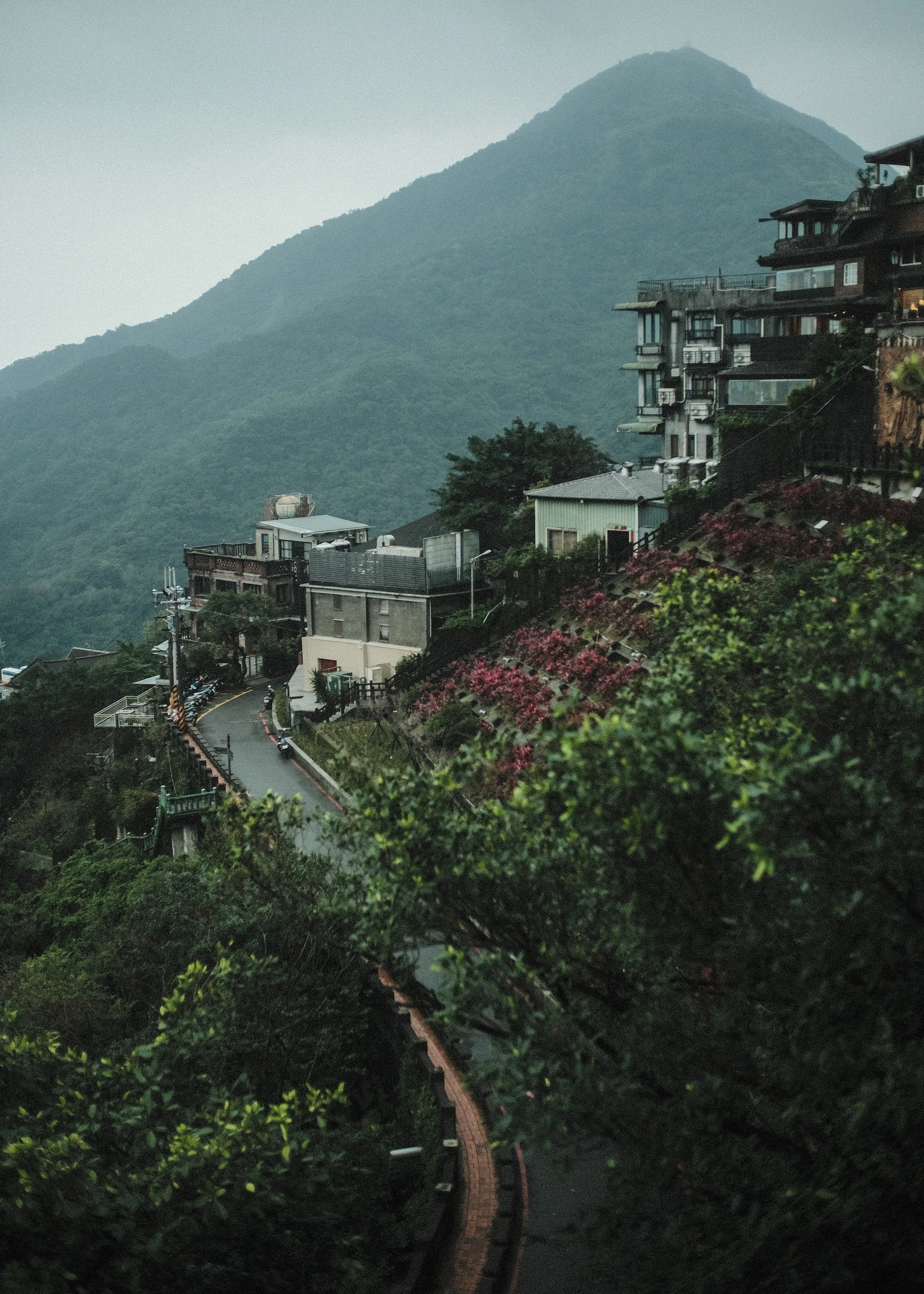 Taiwan Hillside.jpg