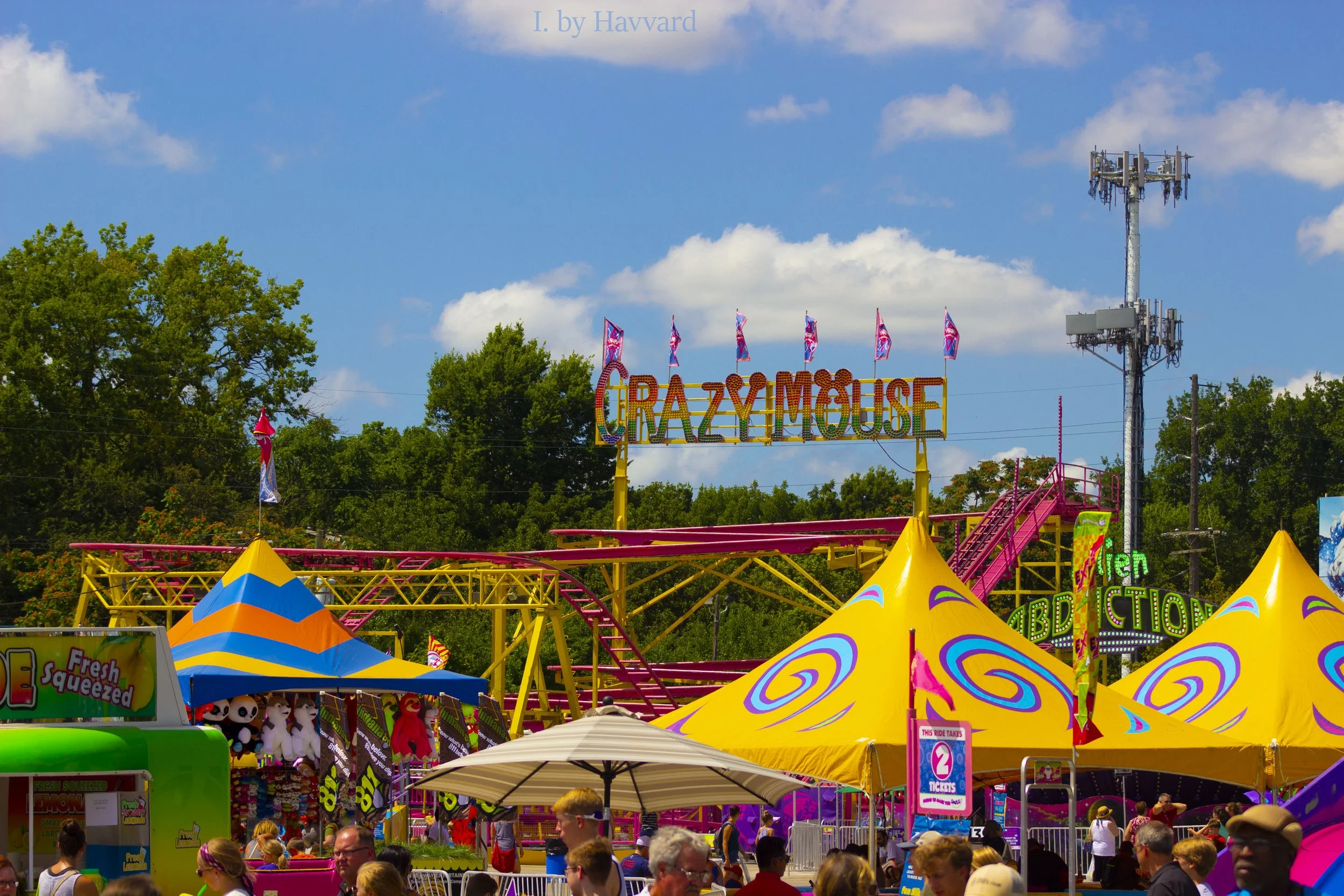 crazy mouse.jpg