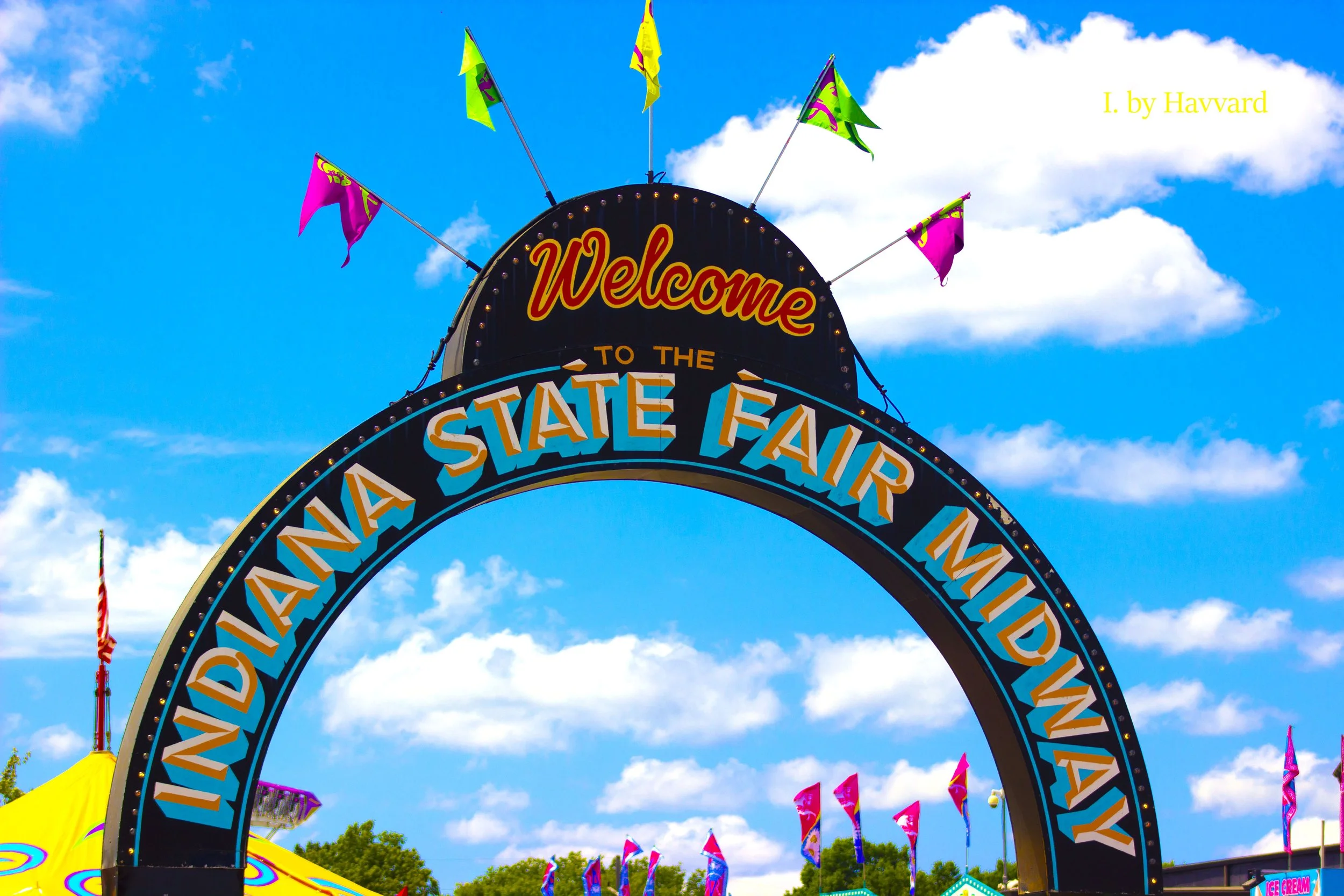 state fair.jpg