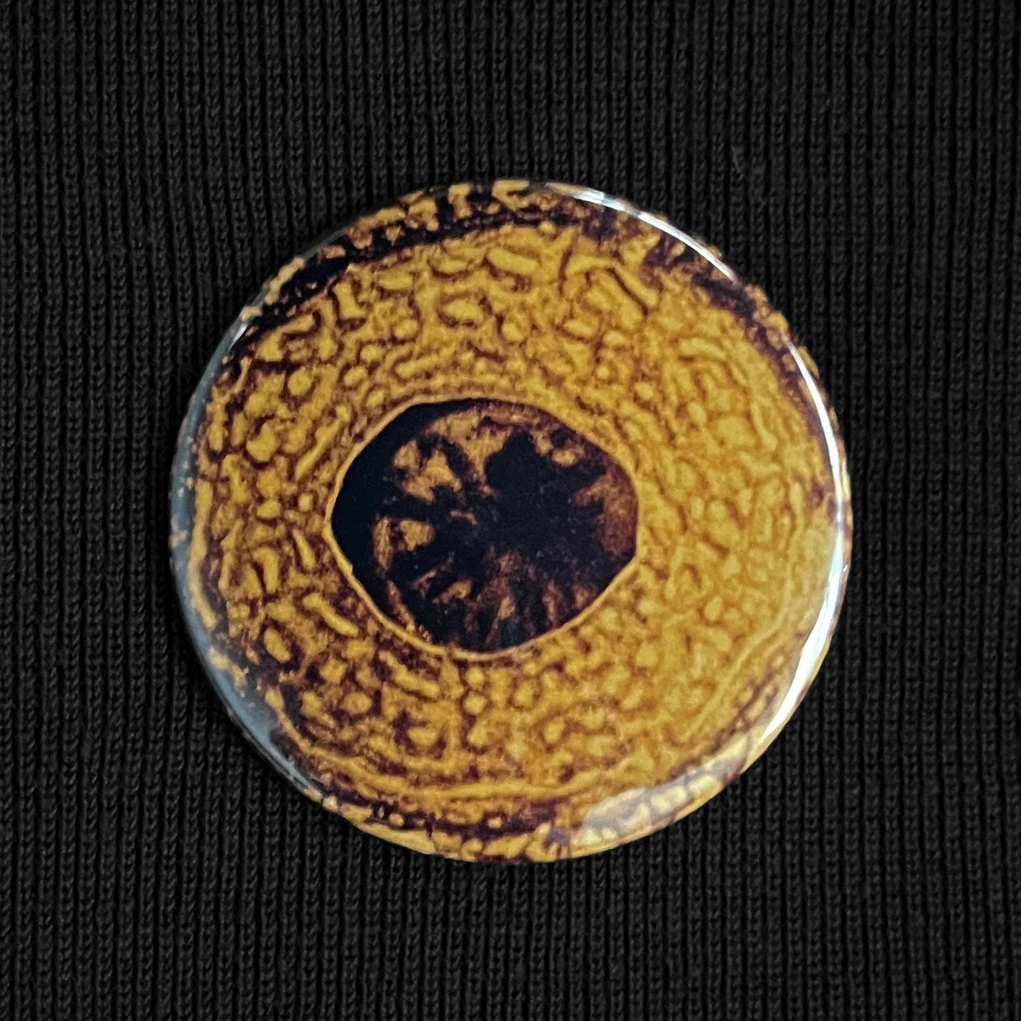 World's Largest Flower