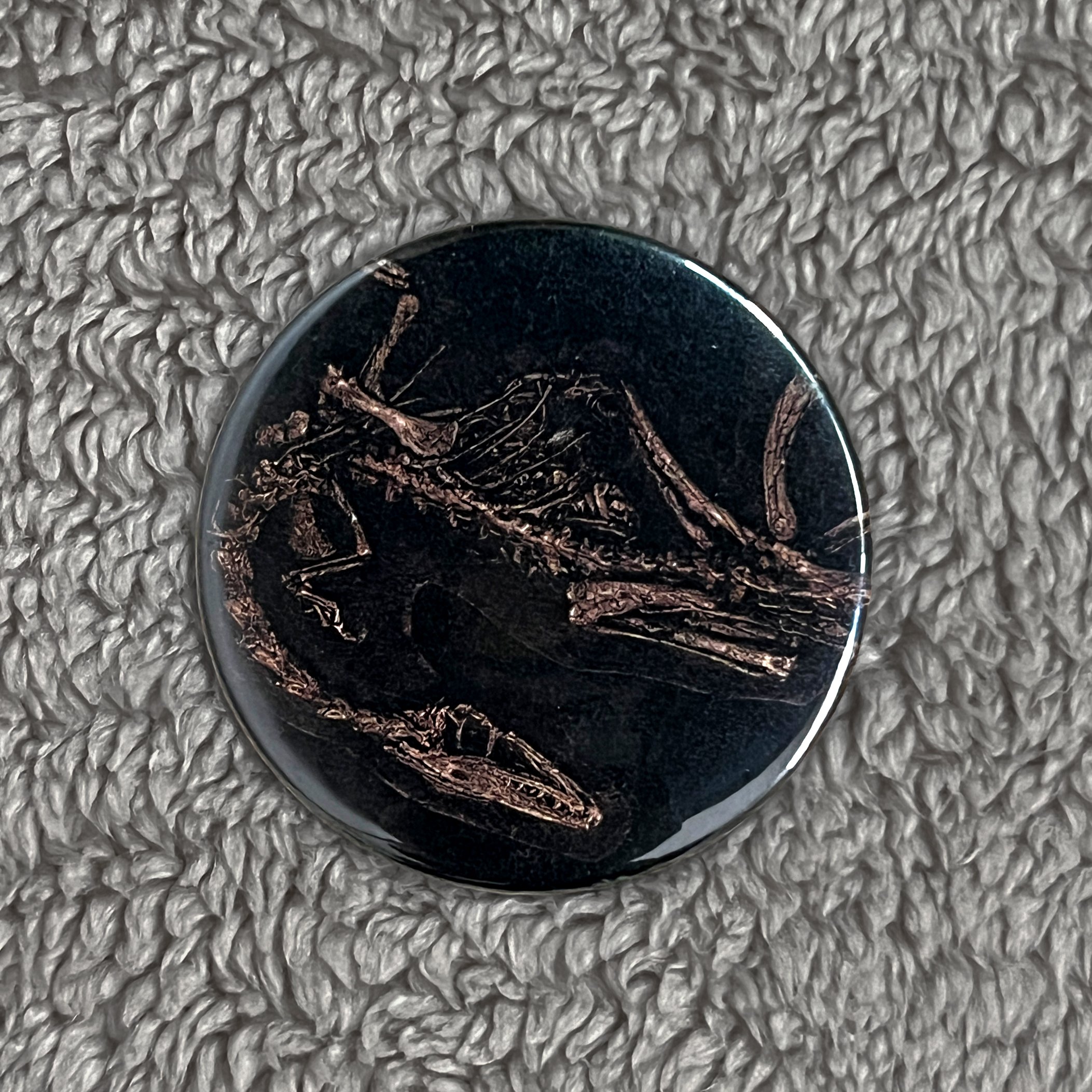 Dinosaur Bones