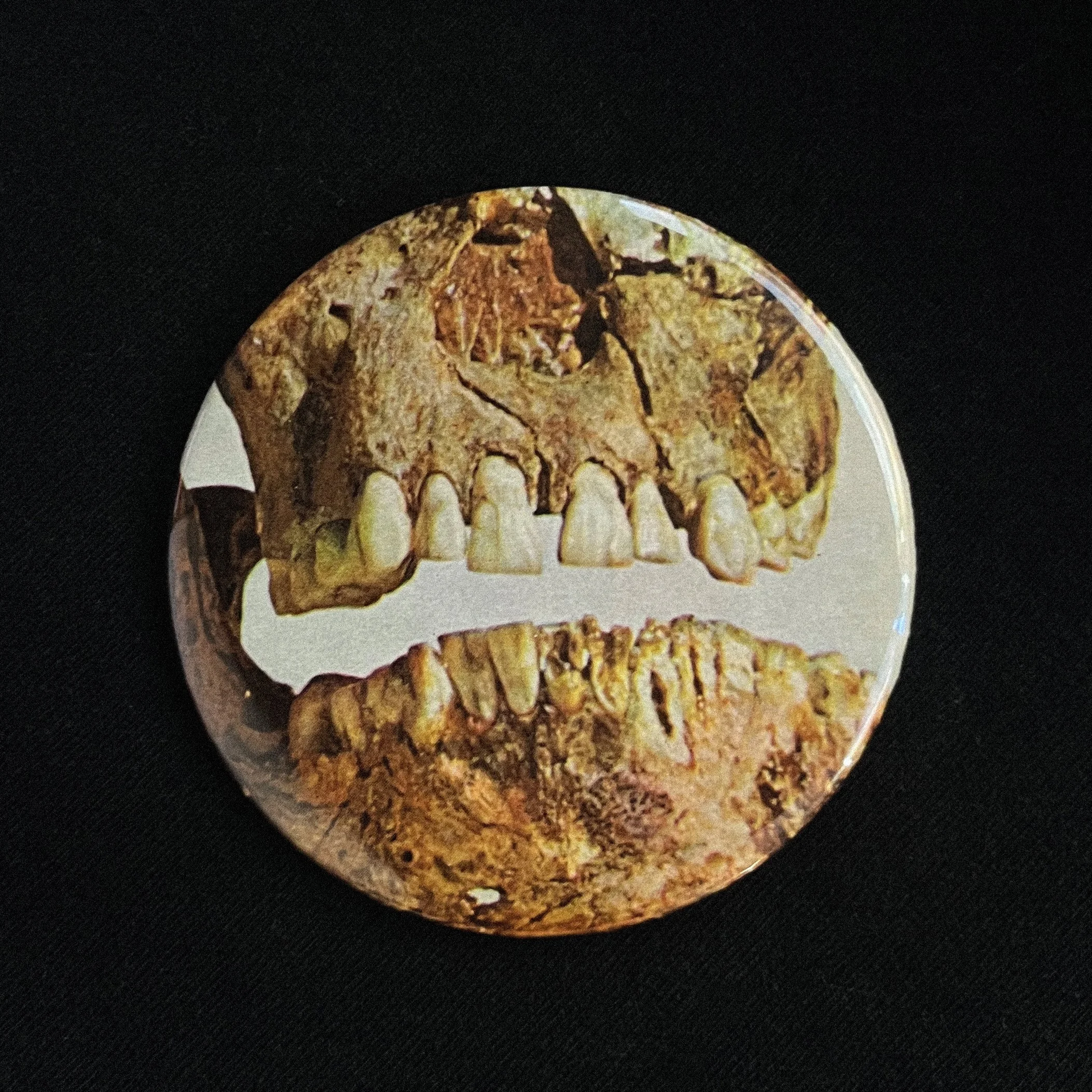 Teeth