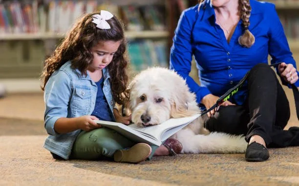 Read to a Dog
