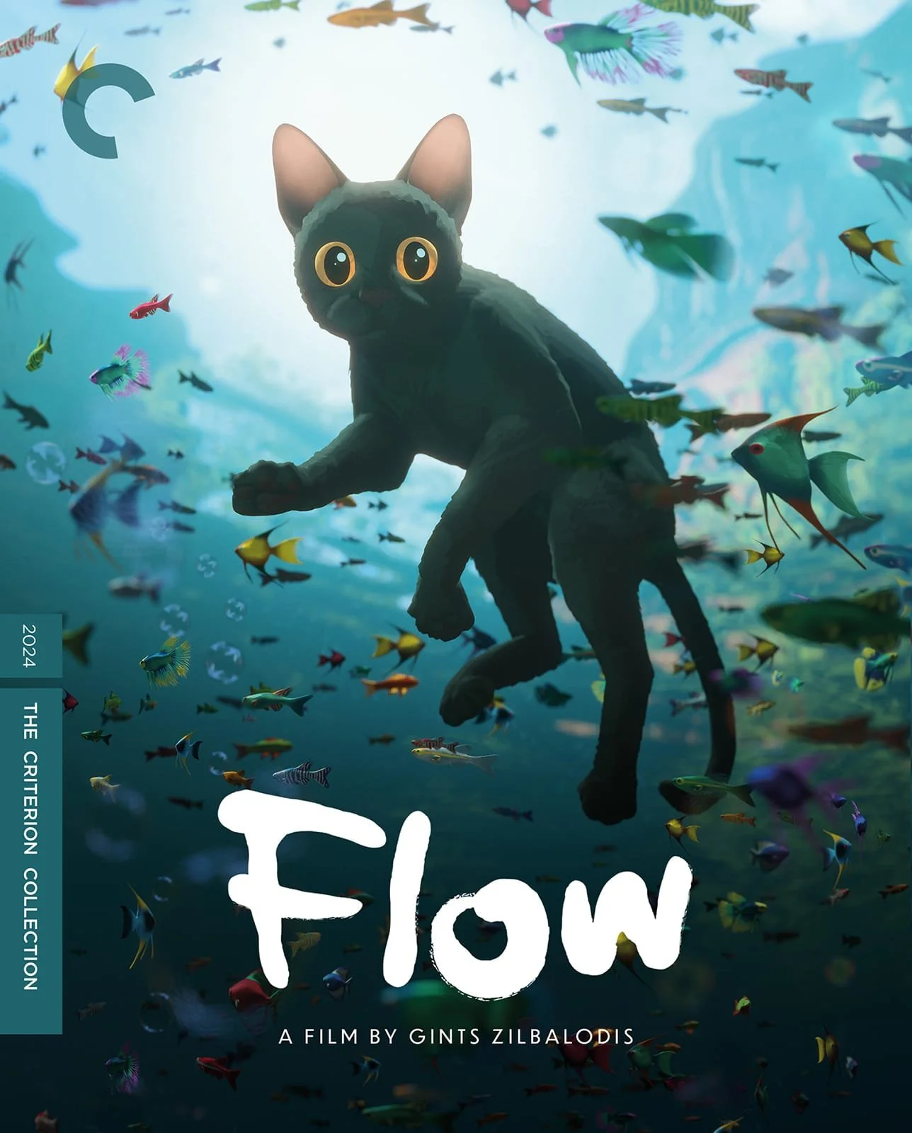 Flow.jpg