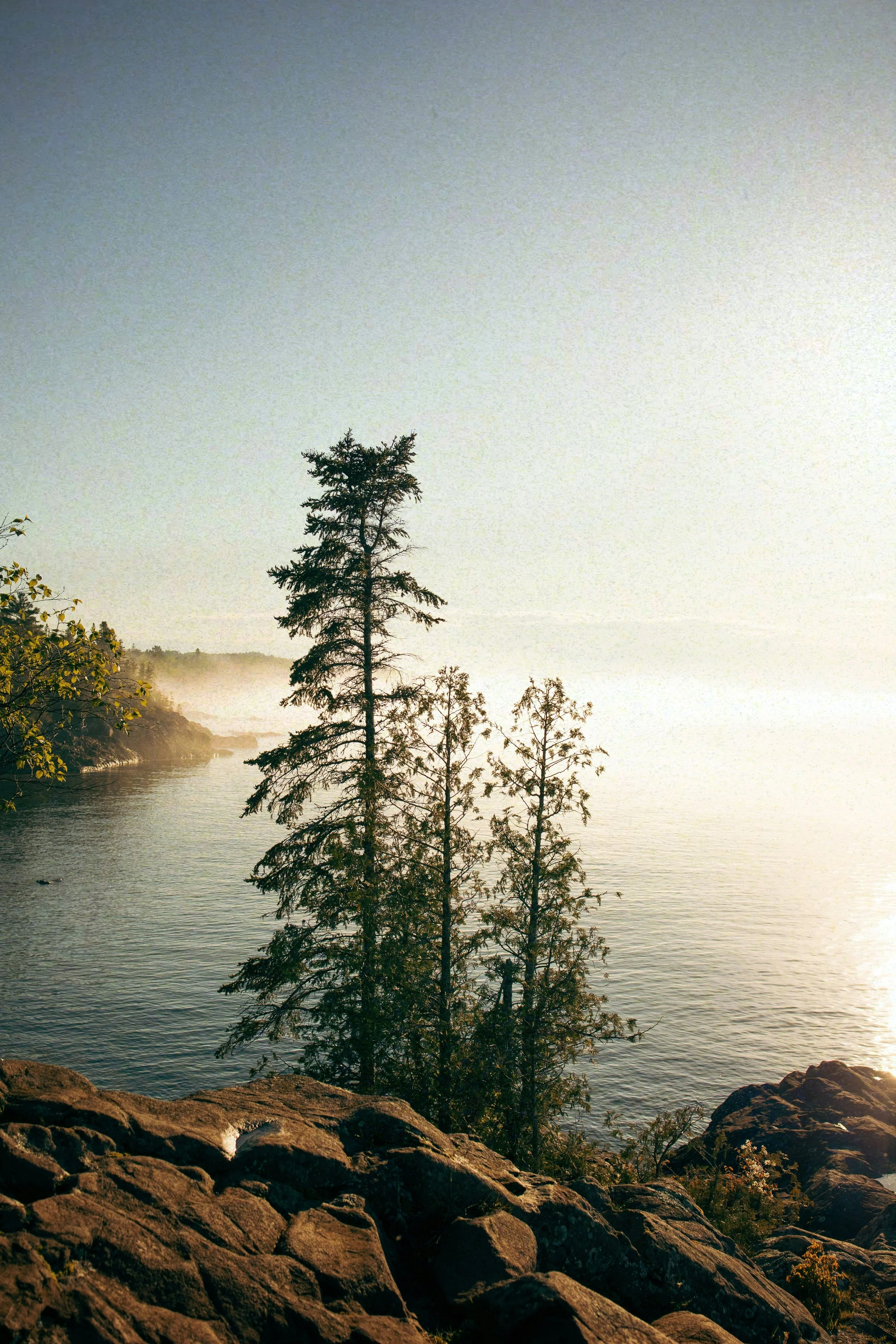Scenic view of a river with trees along the shore, rocks in the foreground, fog in the distance, and sunlight reflecting off the water.
