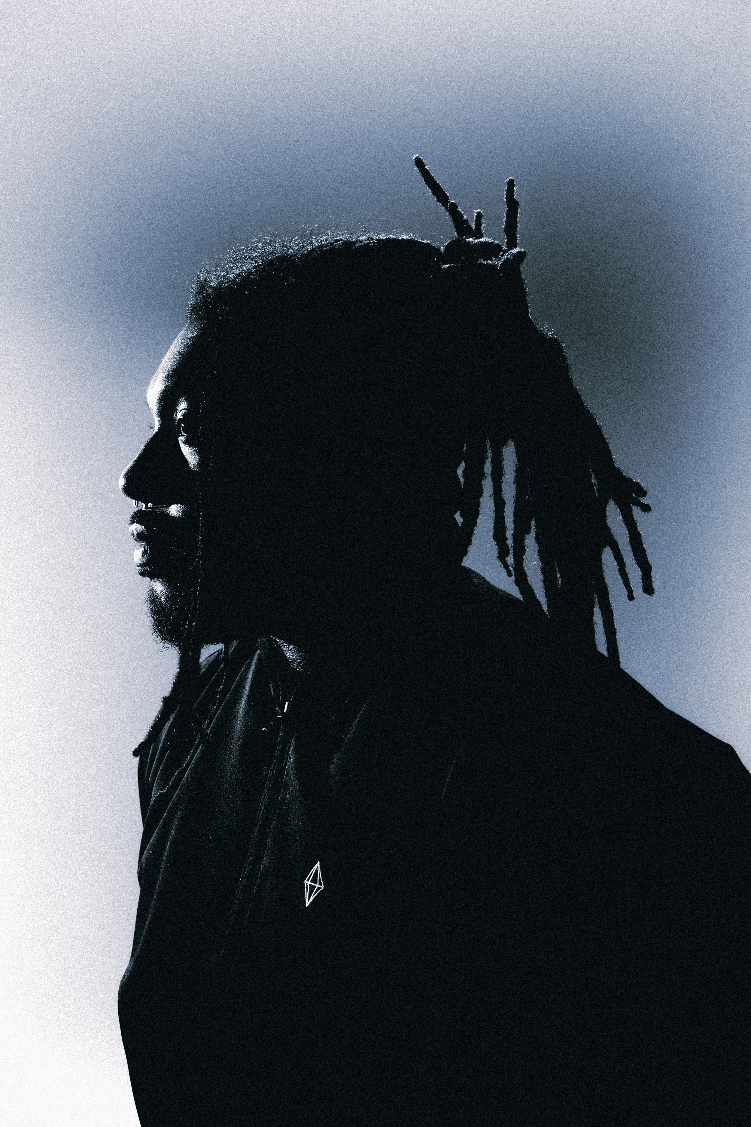 A silhouette of a person with dreadlocks against a gradient background best for music promotion or tour poster or eye catching social media post