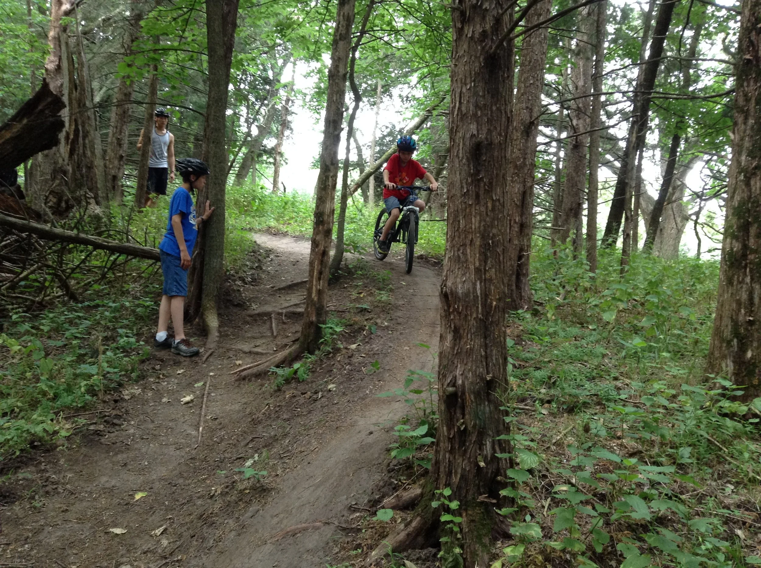 A young boy in a red shirt and black helmet riding a mountain bike down a dirt trail in a dense forest. Two other children, one in a blue shirt and helmet, and another standing on a trail, watch him.
