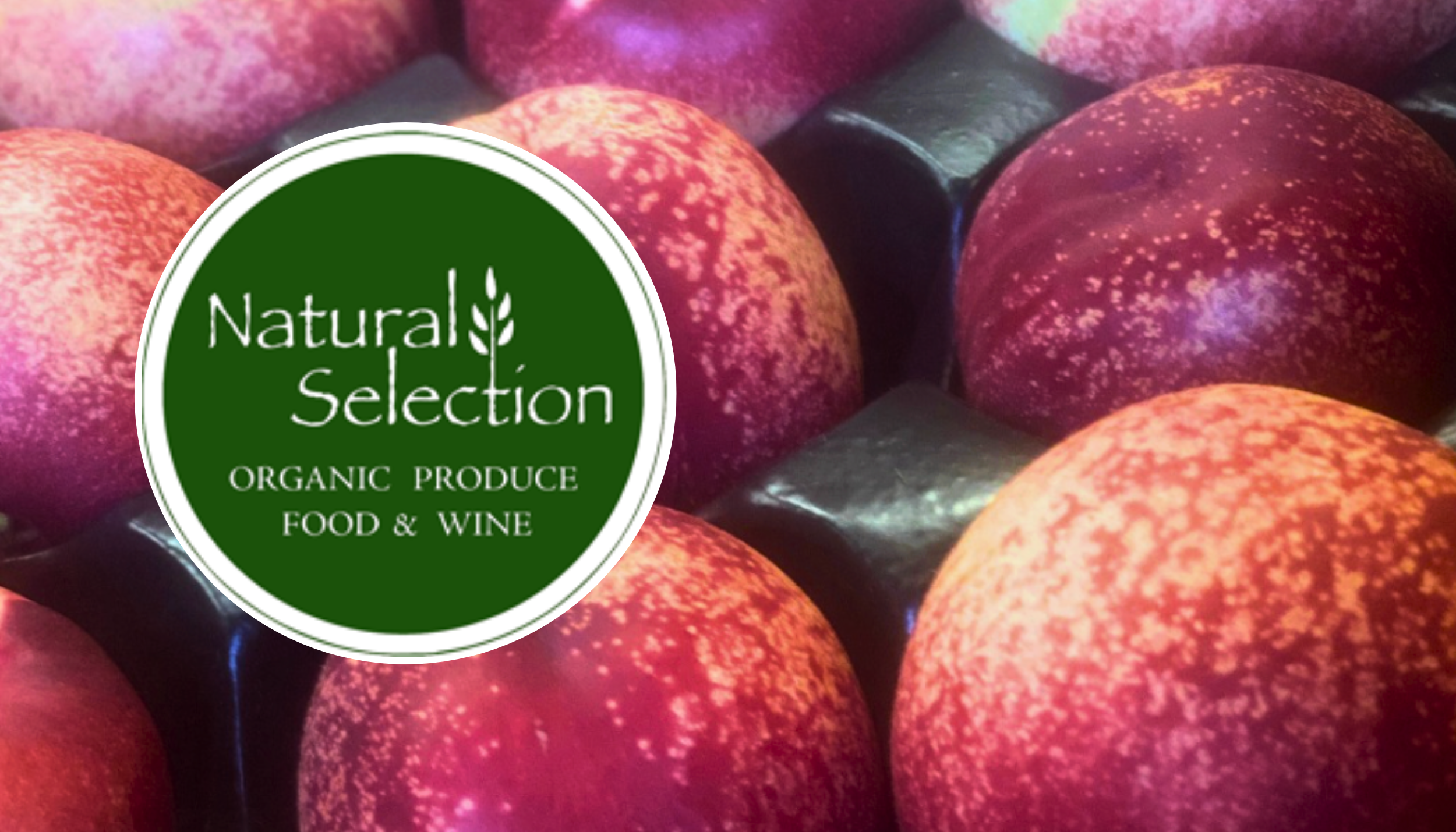 Website Natural Selection Pic.png