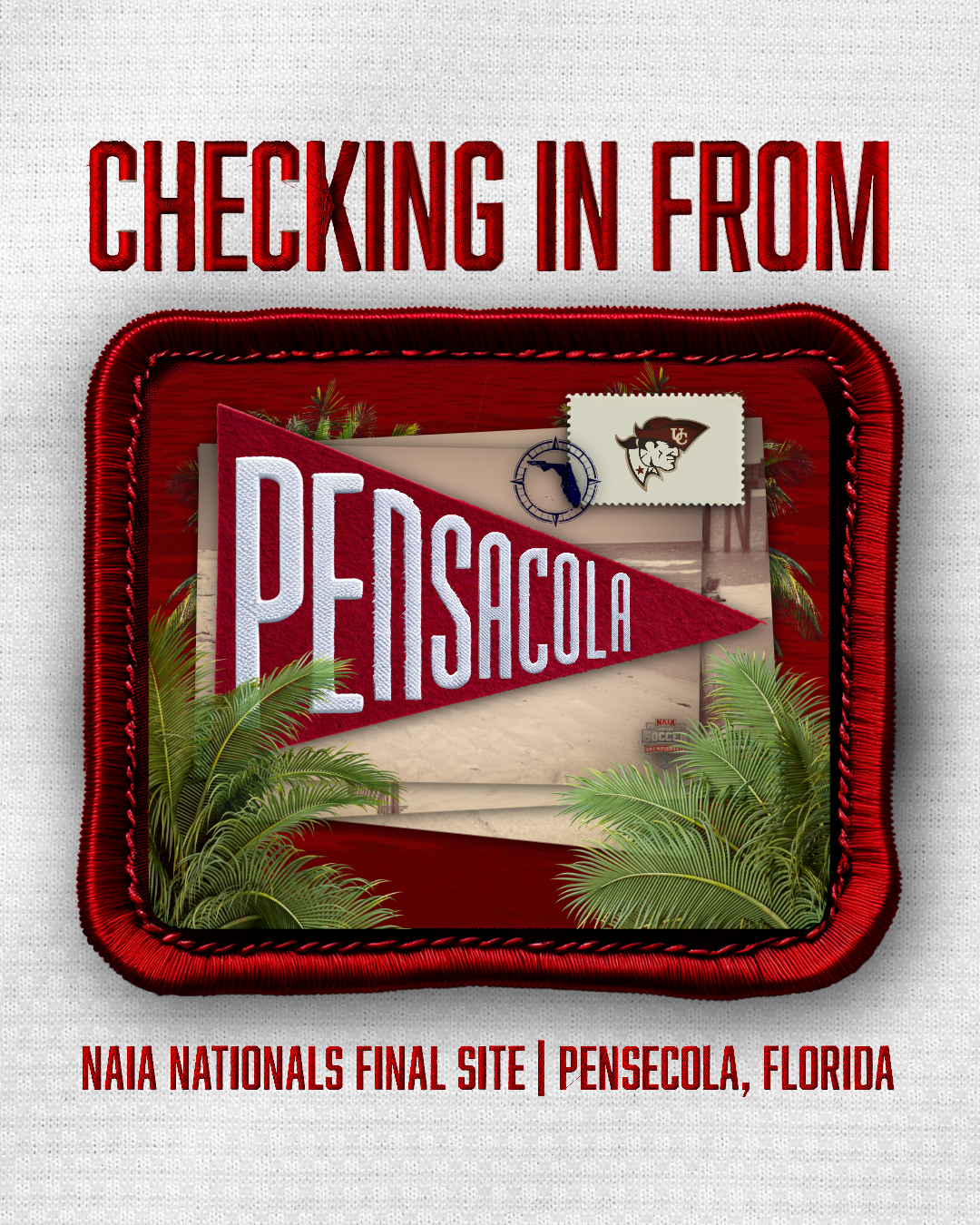 naia final site graphic.png