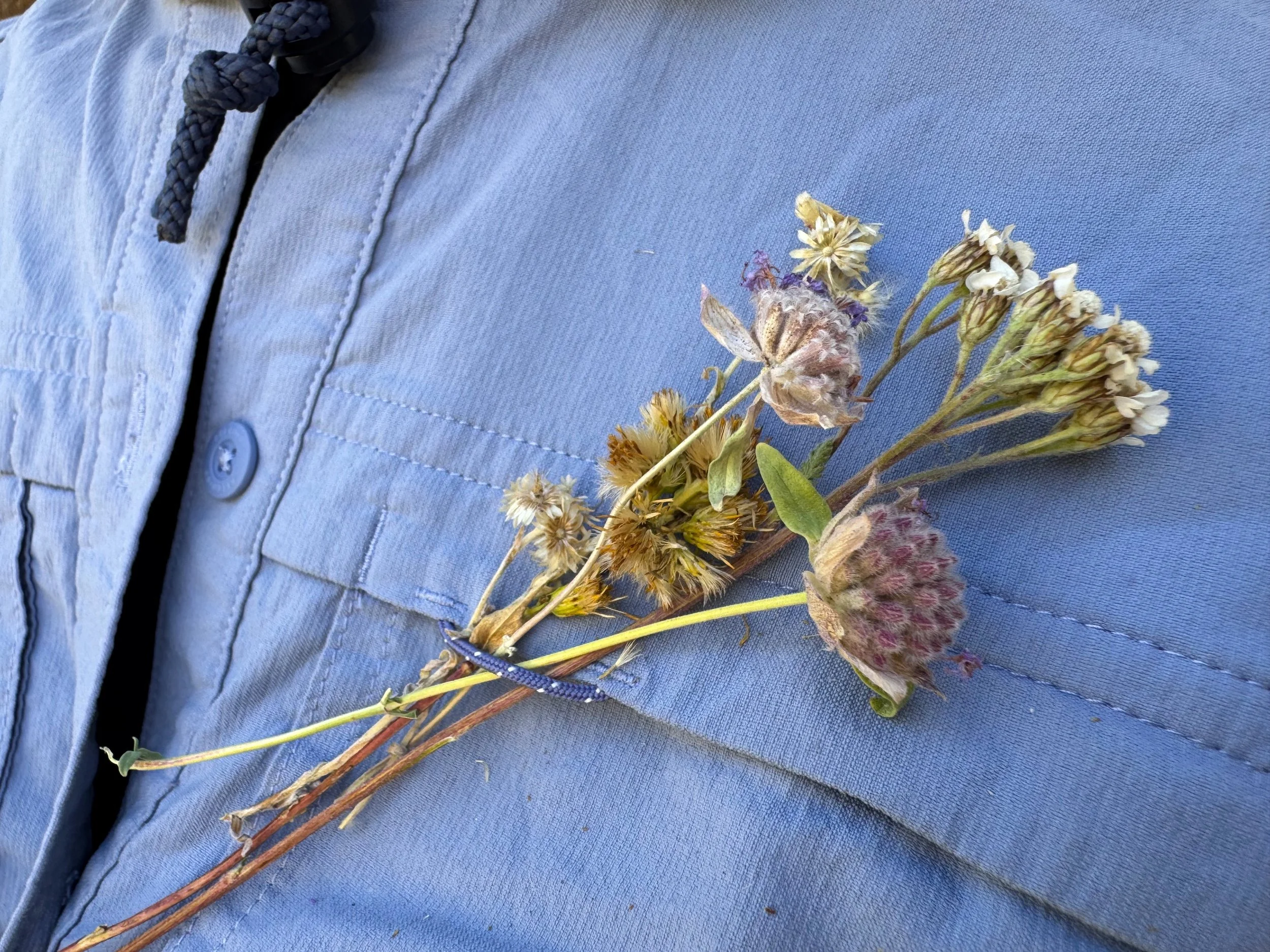 Close-up of local, Bay Area potter with wildflowers collected in the Eastern Sierra.