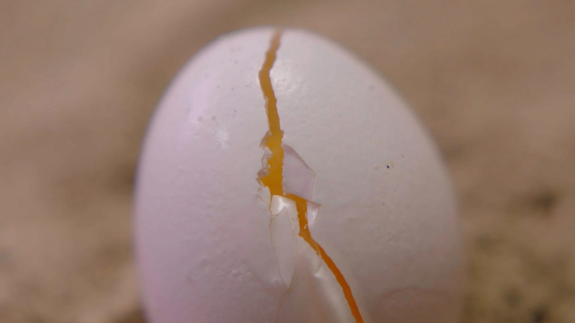 After Hatching (2026)

---
Department Heads
Director: @jvymeris 
Producer: @thelordofthelights 
Screenwriter: @emery_117 
Director of Photography: @davidwillemboot 
Production Designer: @val_gyorke_film (Me)
Editor: Mark Davey

---
Art Department:
Ar
