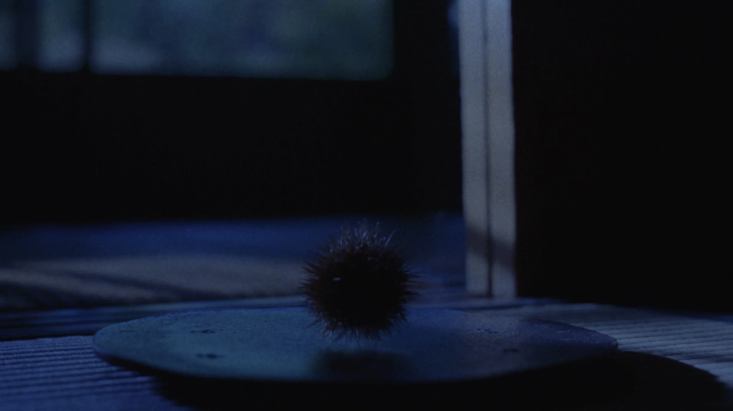 Screenshot 2025-10-26 at 4.37.26 PM.jpeg