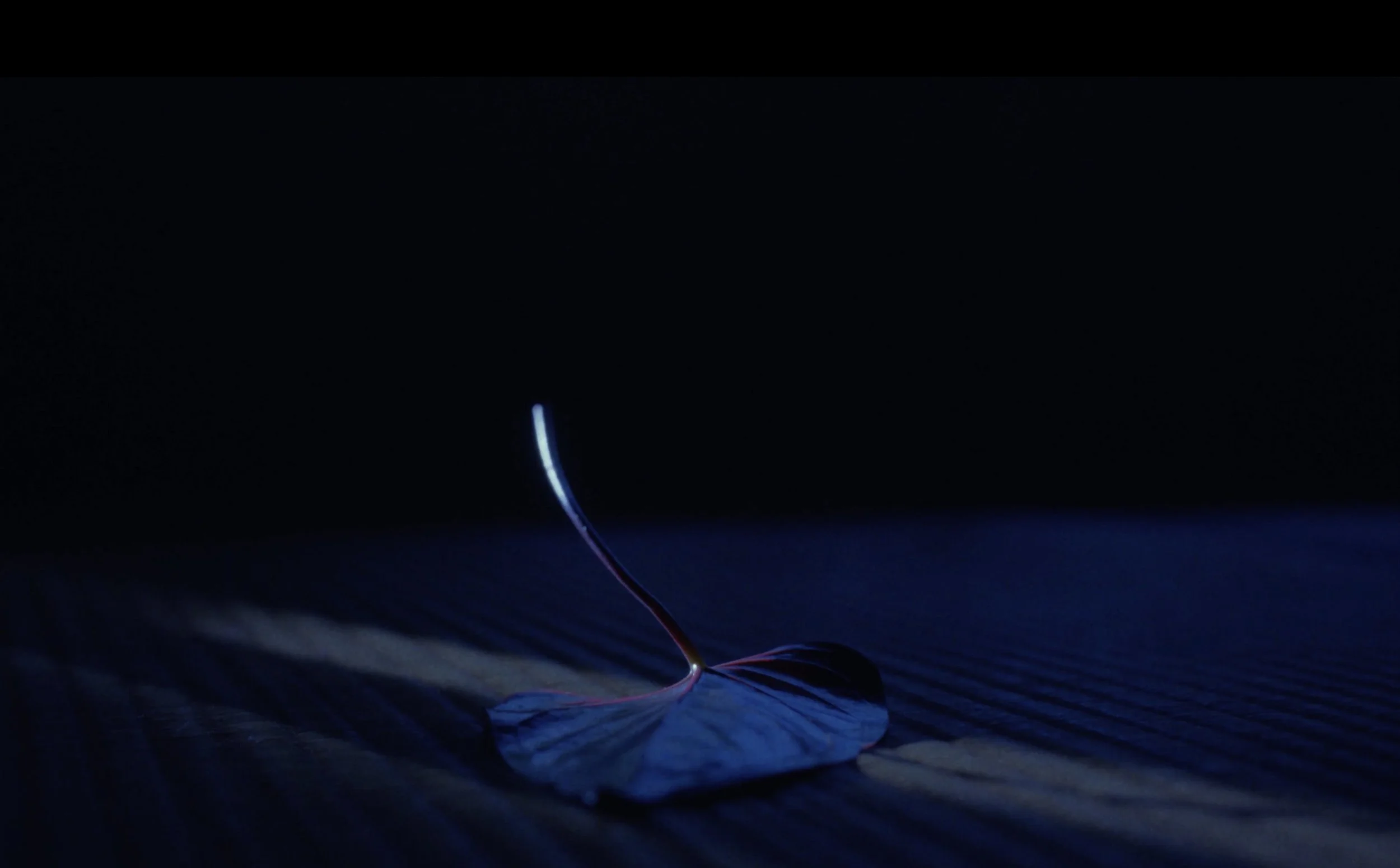 Screenshot 2025-10-26 at 4.37.58 PM.jpeg