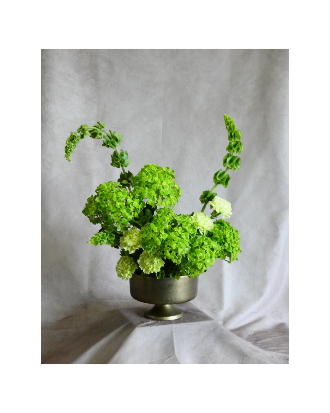 Untitled design (56).png