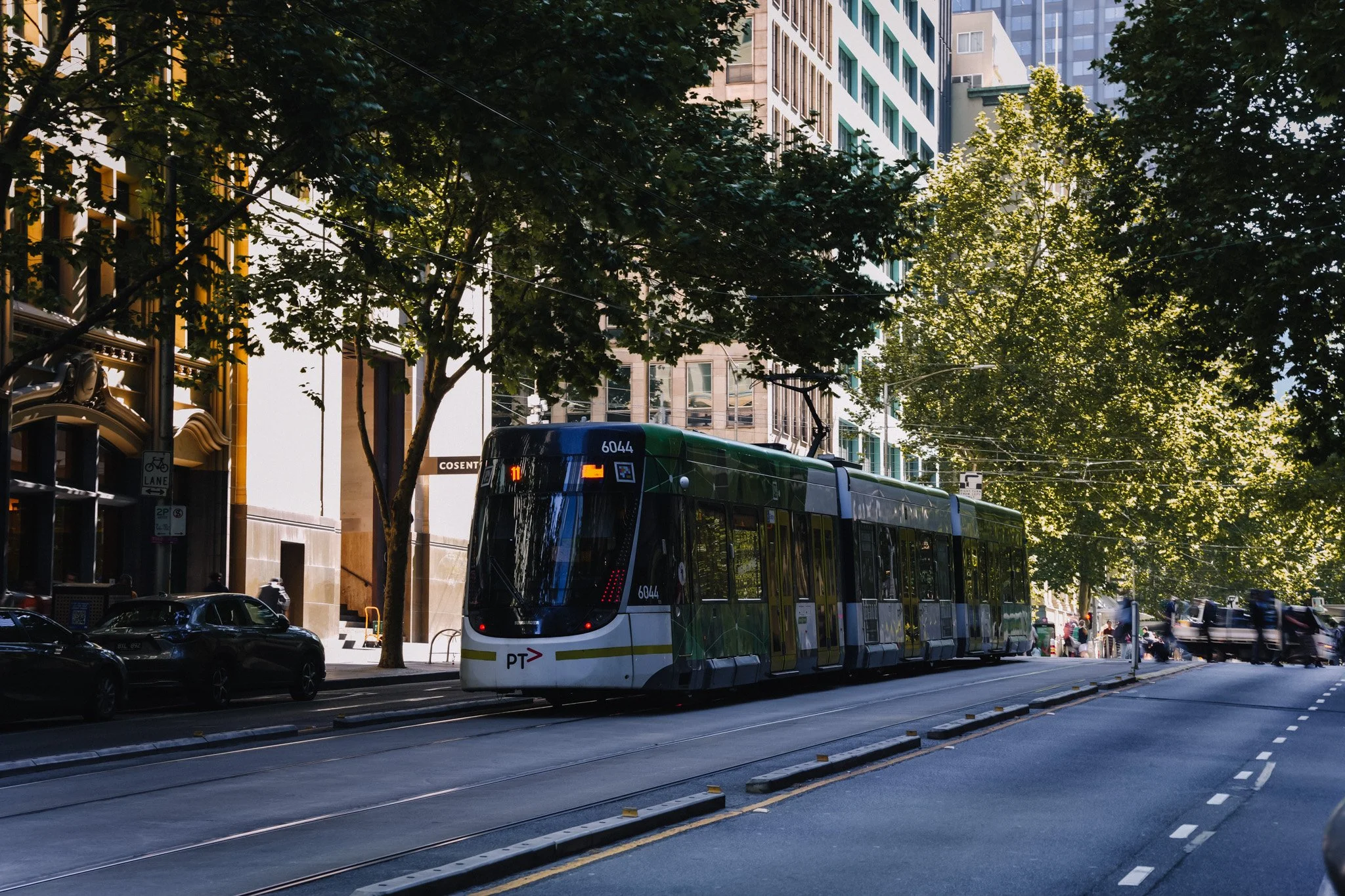 A green and white tram traveling on a city street with trees and tall buildings in the background during daylight.