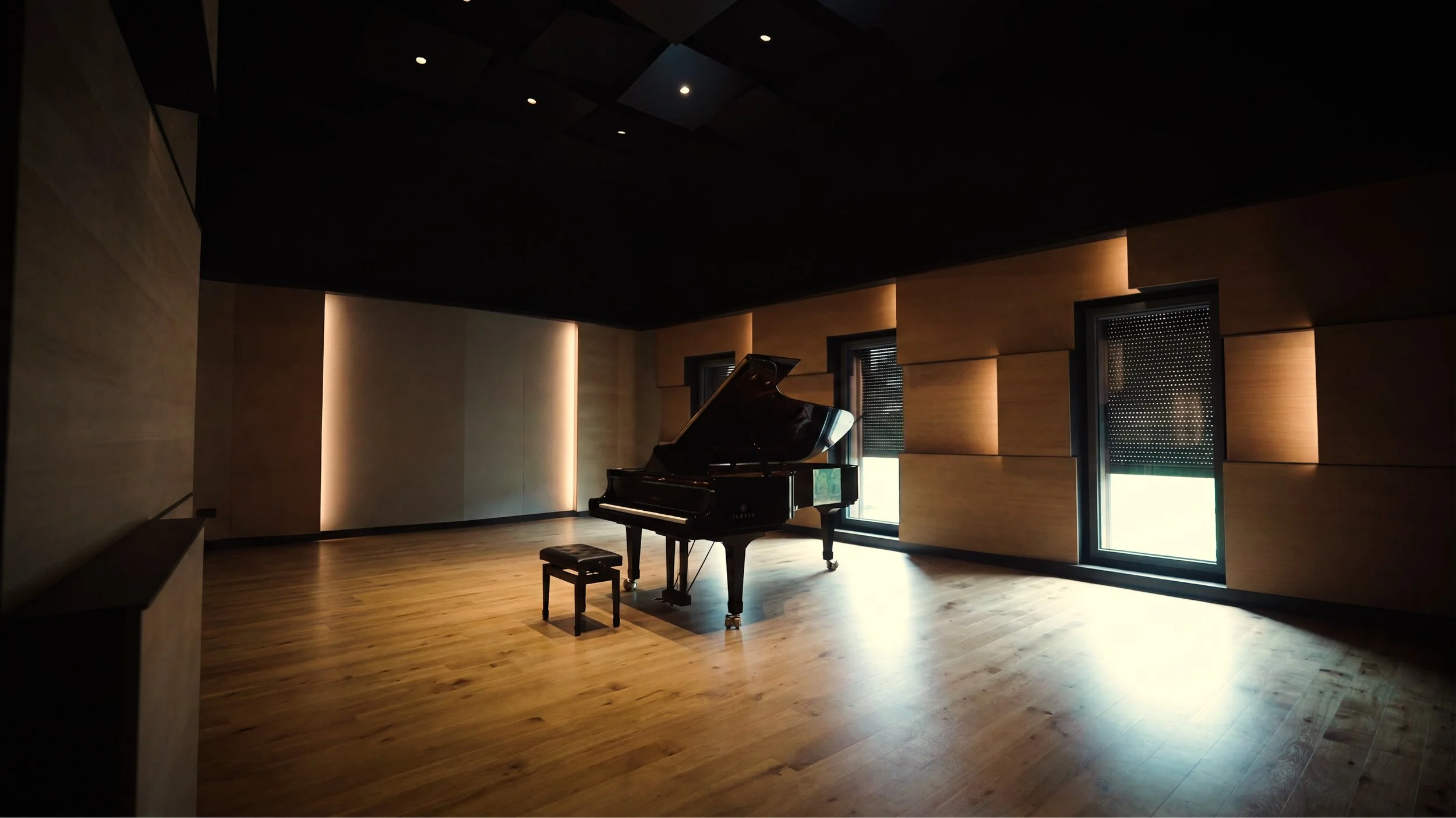 SCREEN STUDIO L-ISA V2.jpg