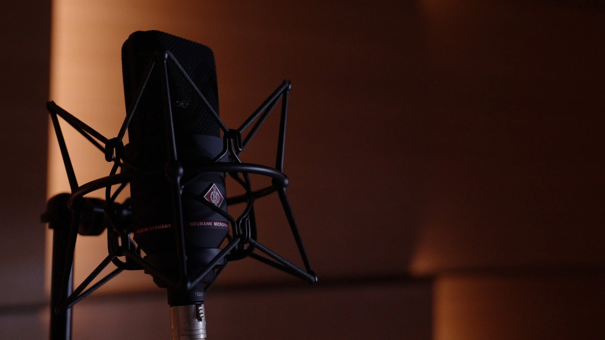 Microphone Neumann