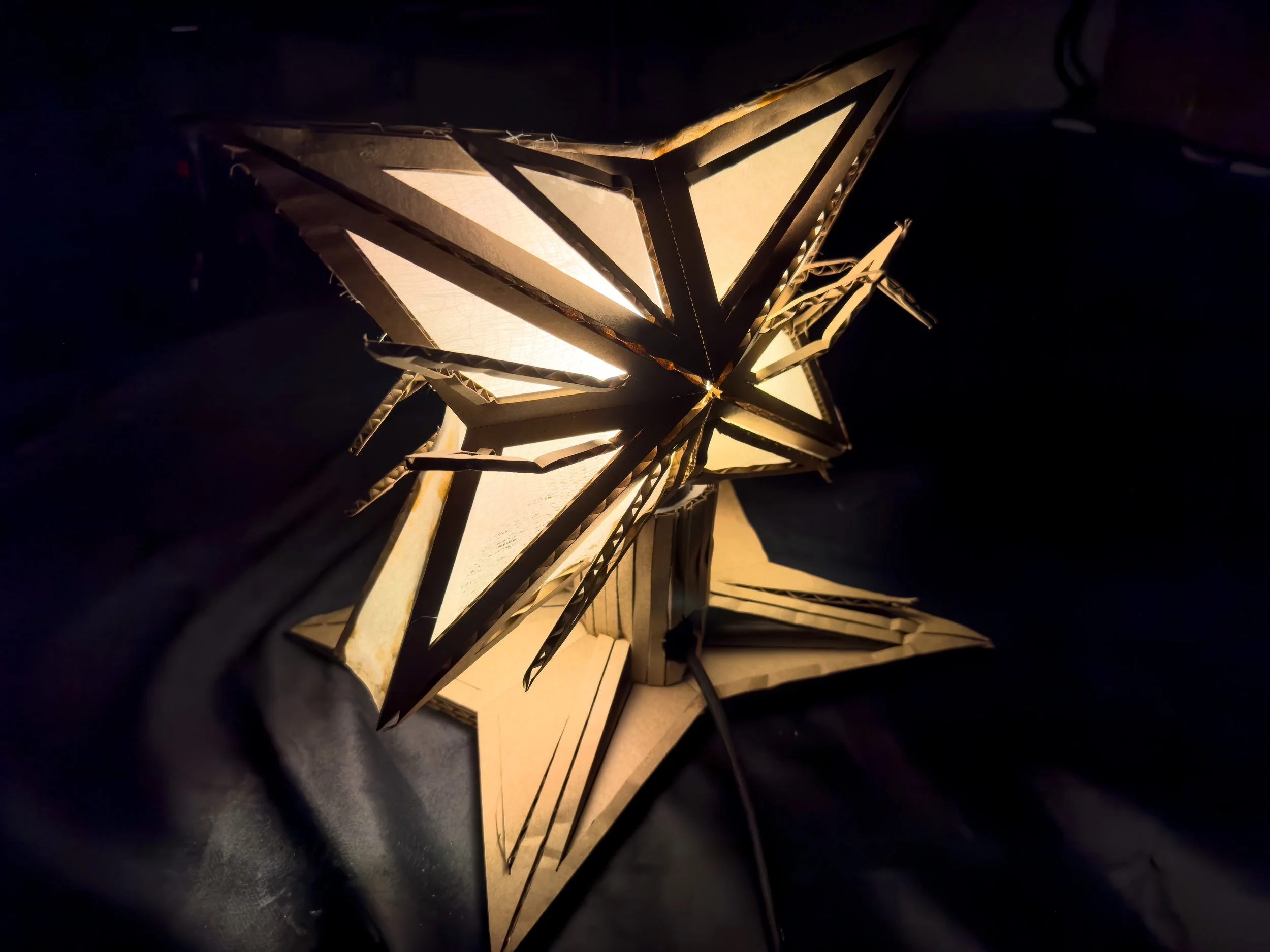 IMG_1140 flipped.jpg