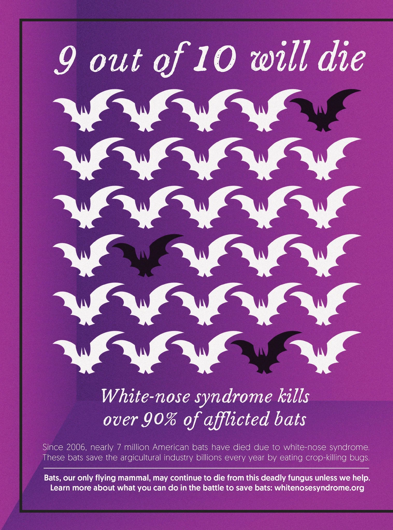 Purple poster with stylized bats and text about white-nose syndrome killing over 90% of affected bats, emphasizing the importance of helping bats.